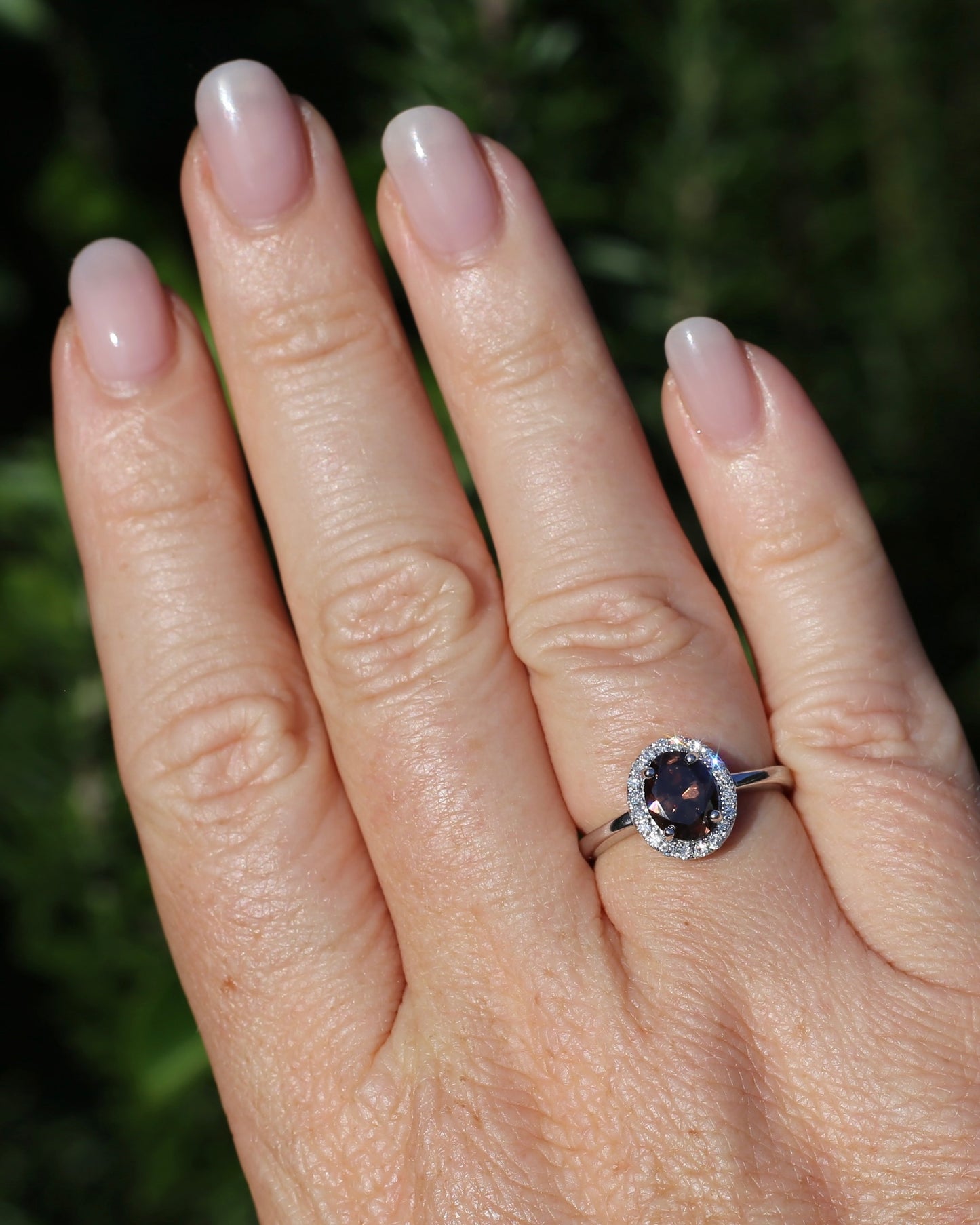 1.82ct Chocolate Australian Zircon with Diamond Halo, 14ct White Gold, size N or 6.75, 3.34g