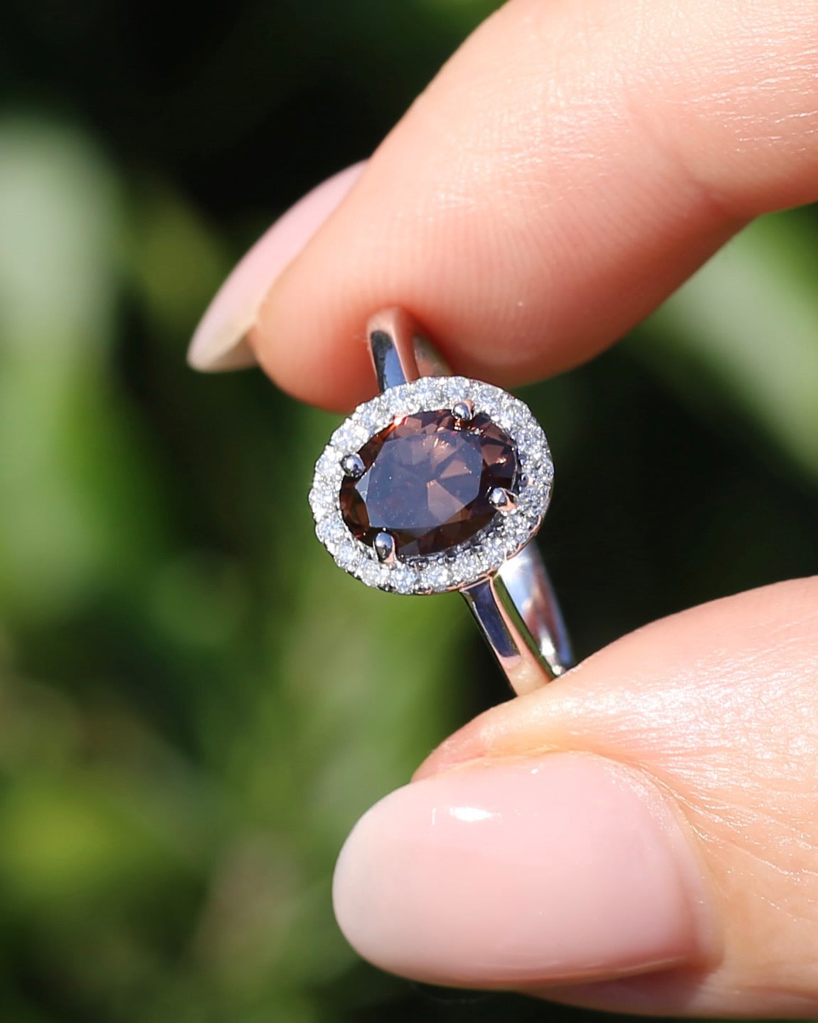 1.82ct Chocolate Australian Zircon with Diamond Halo, 14ct White Gold, size N or 6.75, 3.34g