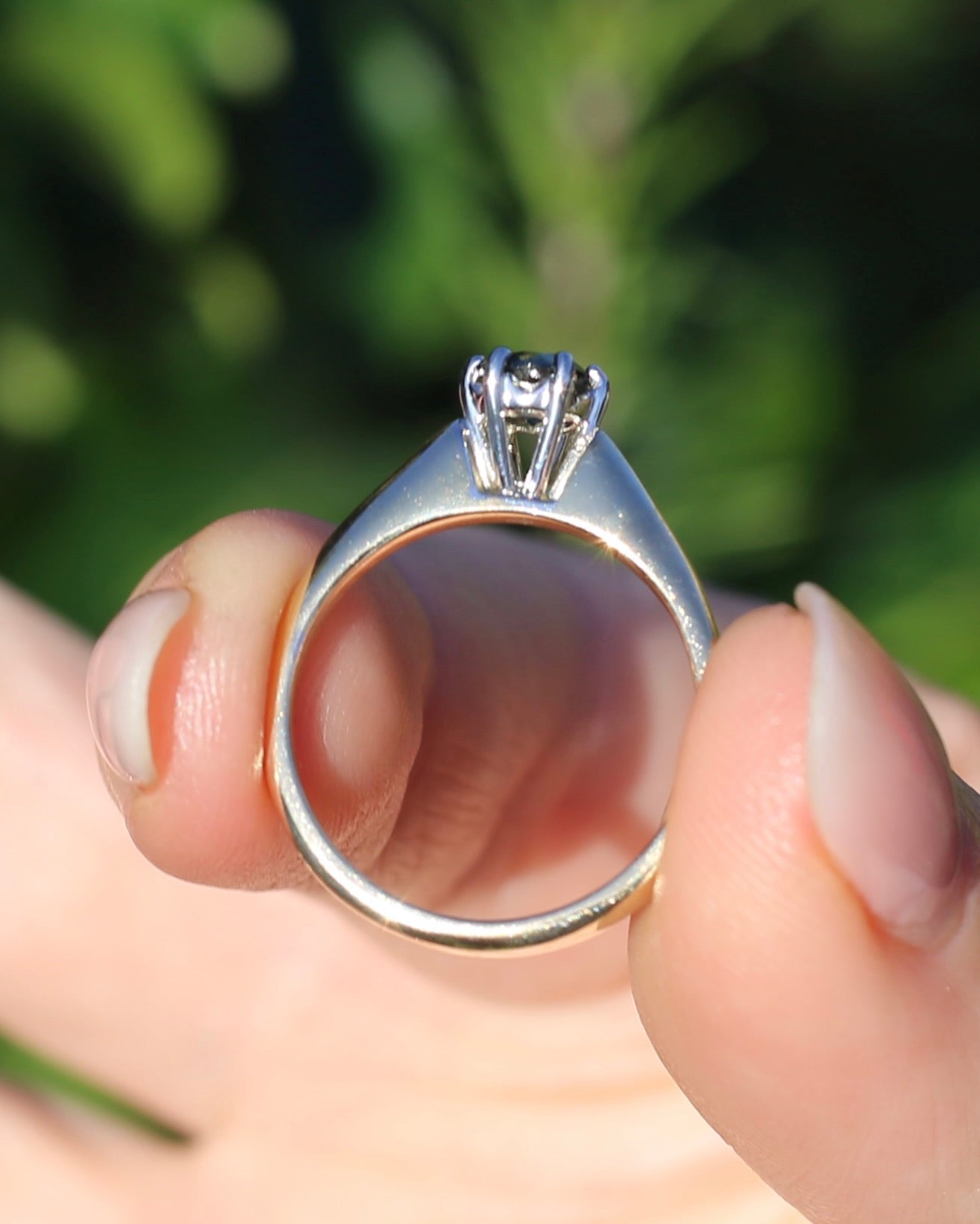 0.55ct Australian Parti Sapphire, 6 Claw Setting, 9ct White and Yellow Gold, size 7 or O, 3.52g