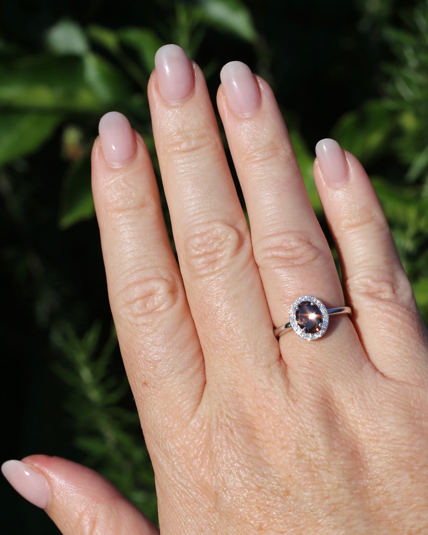 1.82ct Chocolate Australian Zircon with Diamond Halo, 14ct White Gold, size N or 6.75, 3.34g