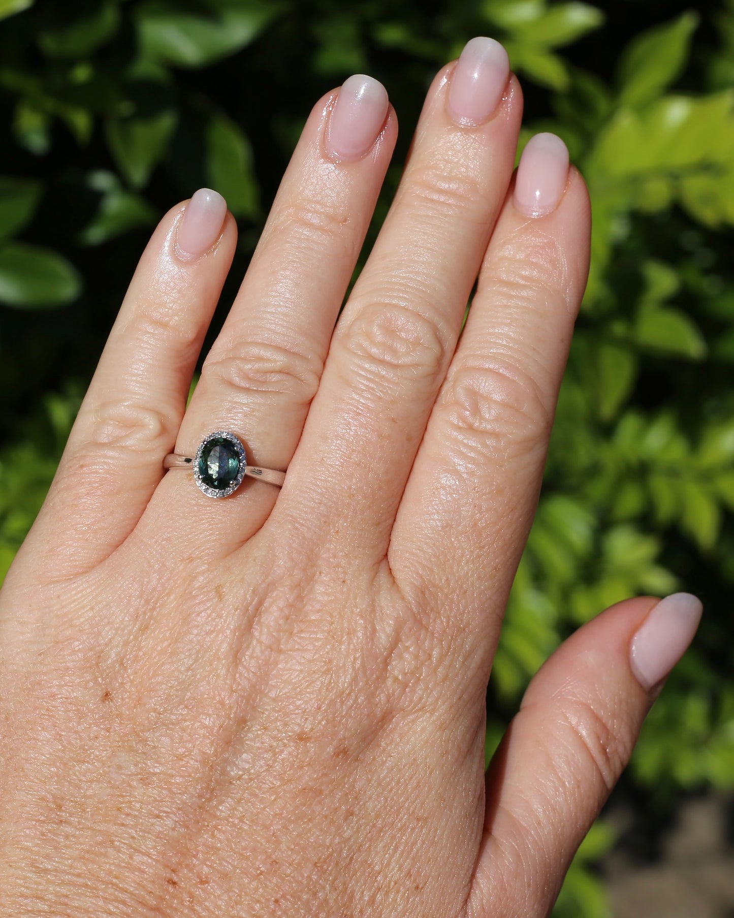 1.48ct Australian Parti Sapphire and SIngle Cut Diamond Halo, 10ct White Gold, size O or 7.25, 3.71g