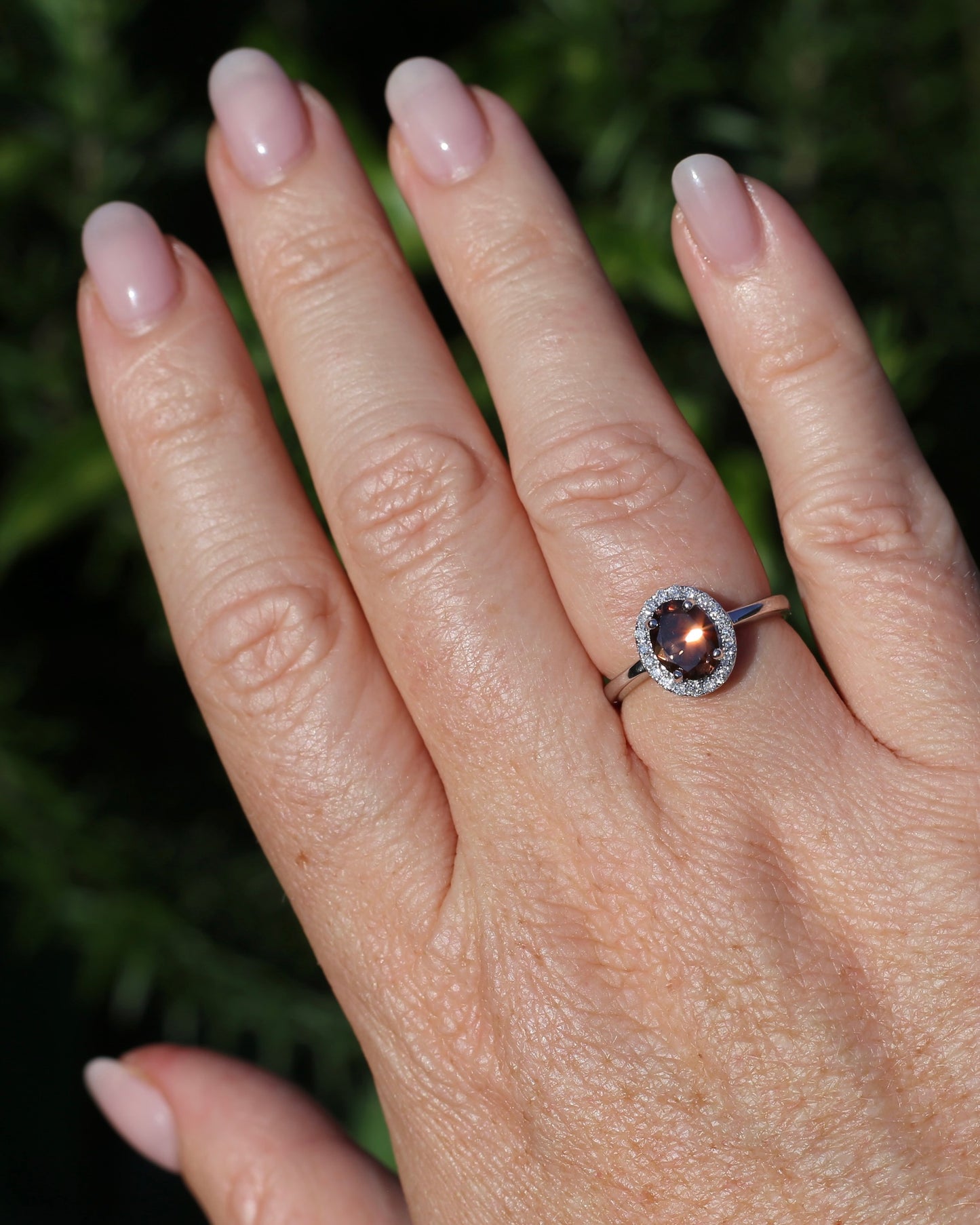 1.82ct Chocolate Australian Zircon with Diamond Halo, 14ct White Gold, size N or 6.75, 3.34g