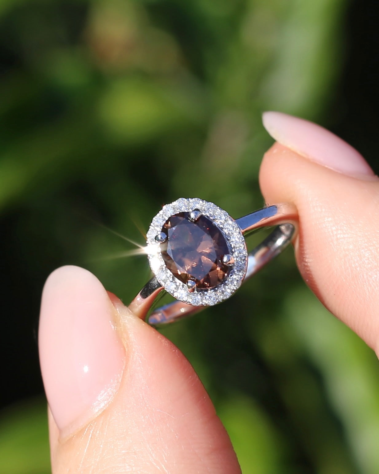 1.82ct Chocolate Australian Zircon with Diamond Halo, 14ct White Gold, size N or 6.75, 3.34g