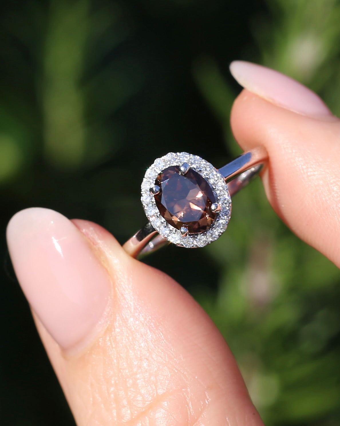 1.82ct Chocolate Australian Zircon with Diamond Halo, 14ct White Gold, size N or 6.75, 3.34g