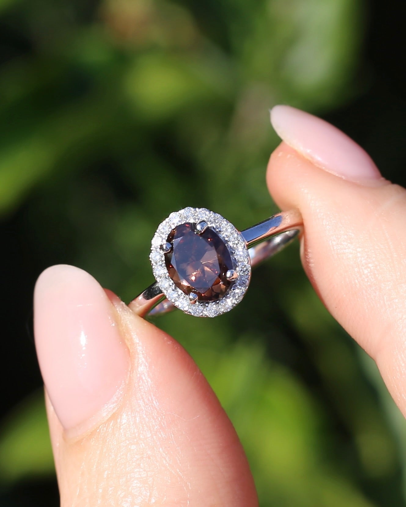 1.82ct Chocolate Australian Zircon with Diamond Halo, 14ct White Gold, size N or 6.75, 3.34g