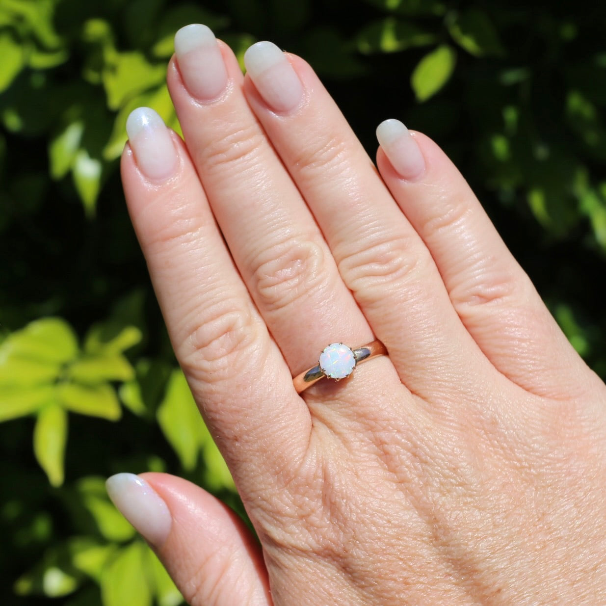 Early Australian 11 Multi Claw White Round Opal Ring, 9ct Old Rosey Gold, size 10 or U