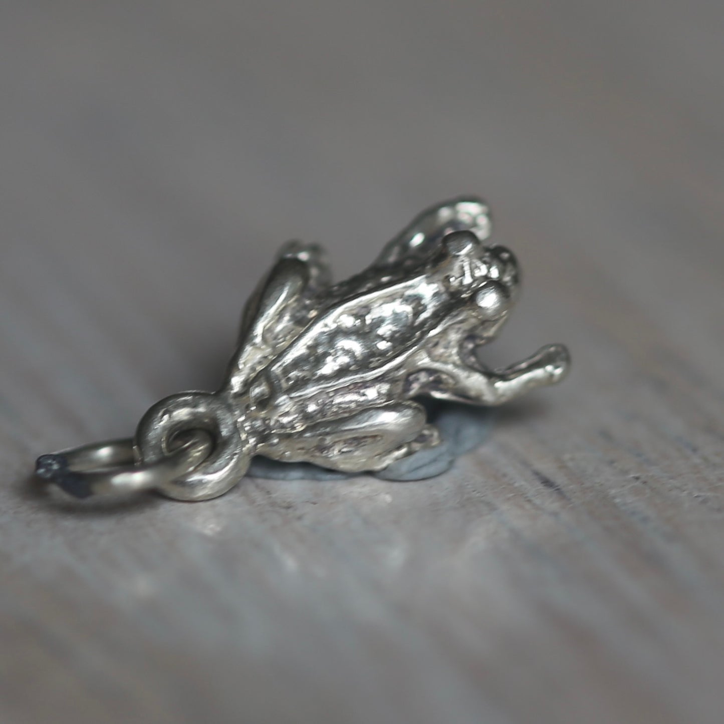 Reptile and Amphibian Silver Charms