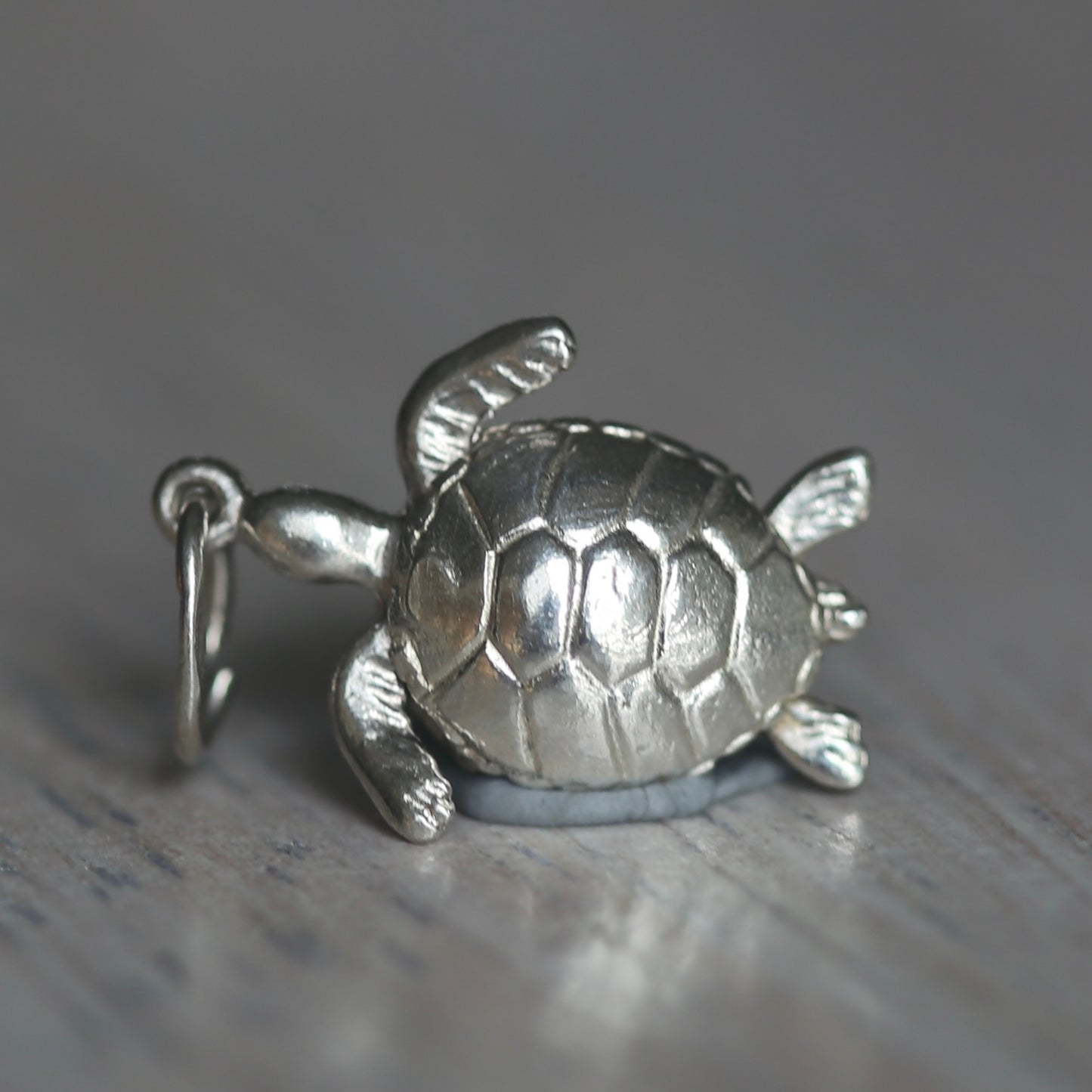 Reptile and Amphibian Silver Charms