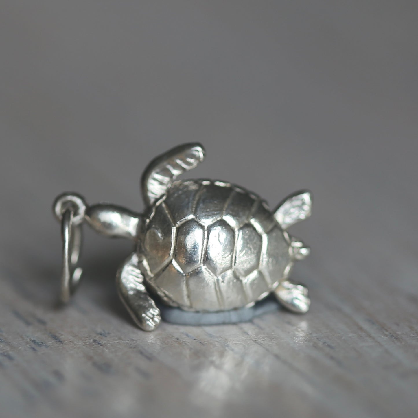 Reptile and Amphibian Silver Charms