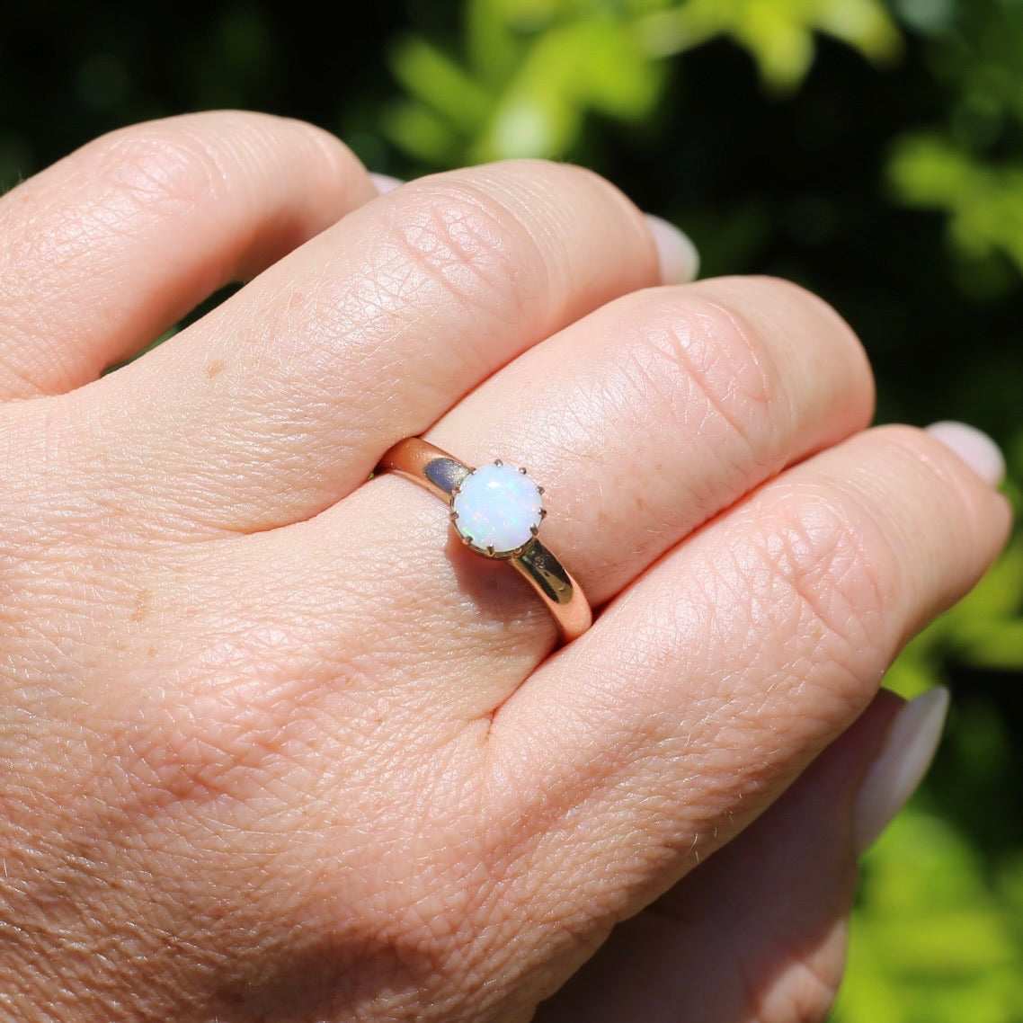 Early Australian 11 Multi Claw White Round Opal Ring, 9ct Old Rosey Gold, size 10 or U