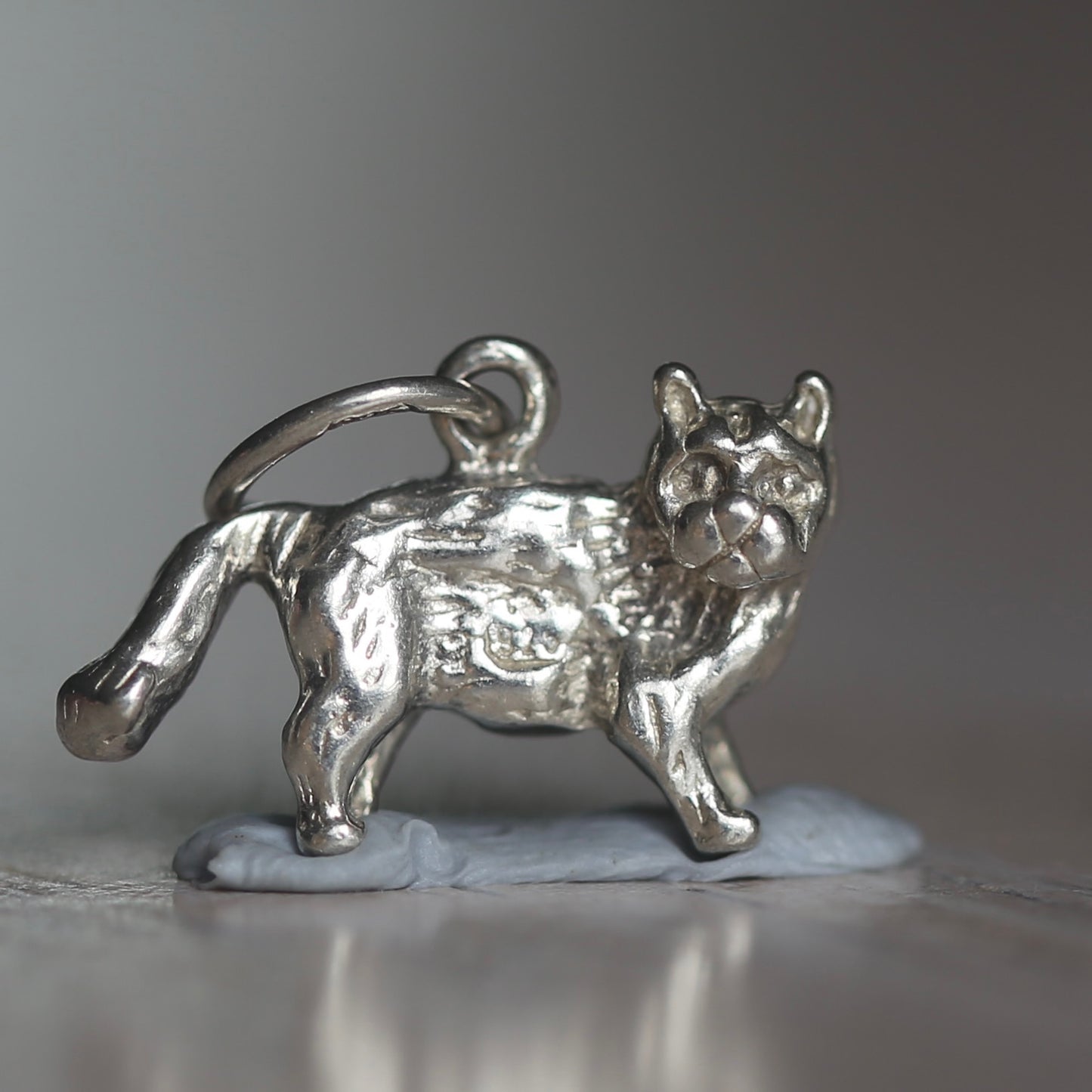 Dogs & Cats Silver Charms