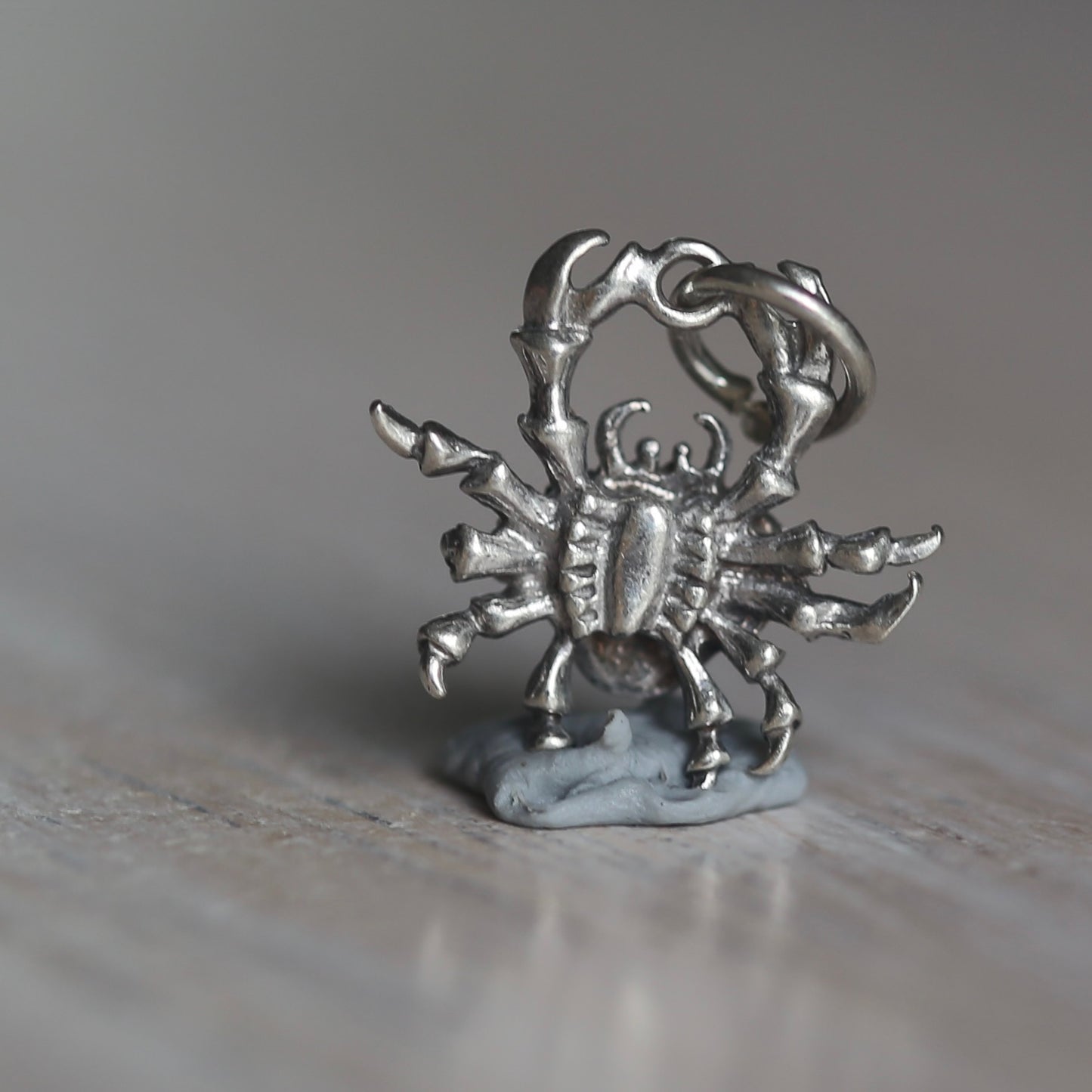 Crustacean Silver Charms