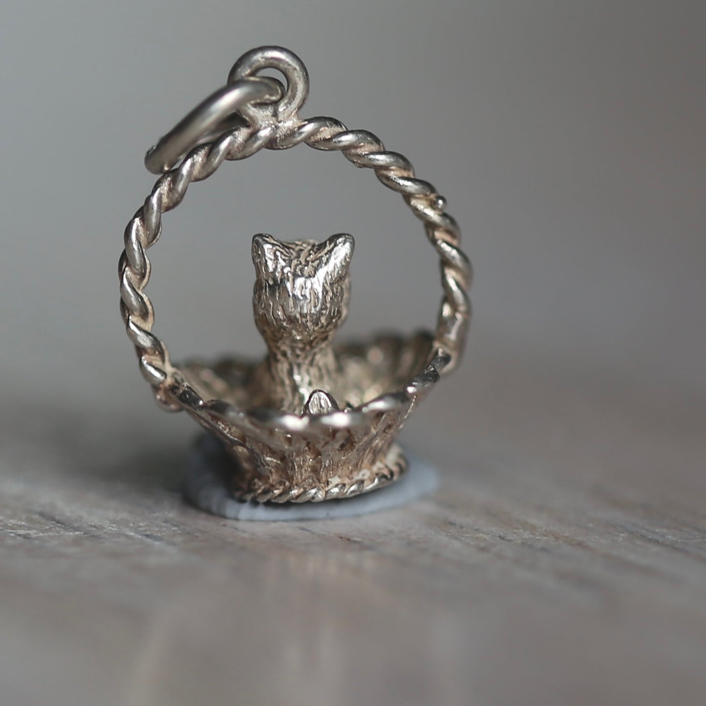 Dogs & Cats Silver Charms