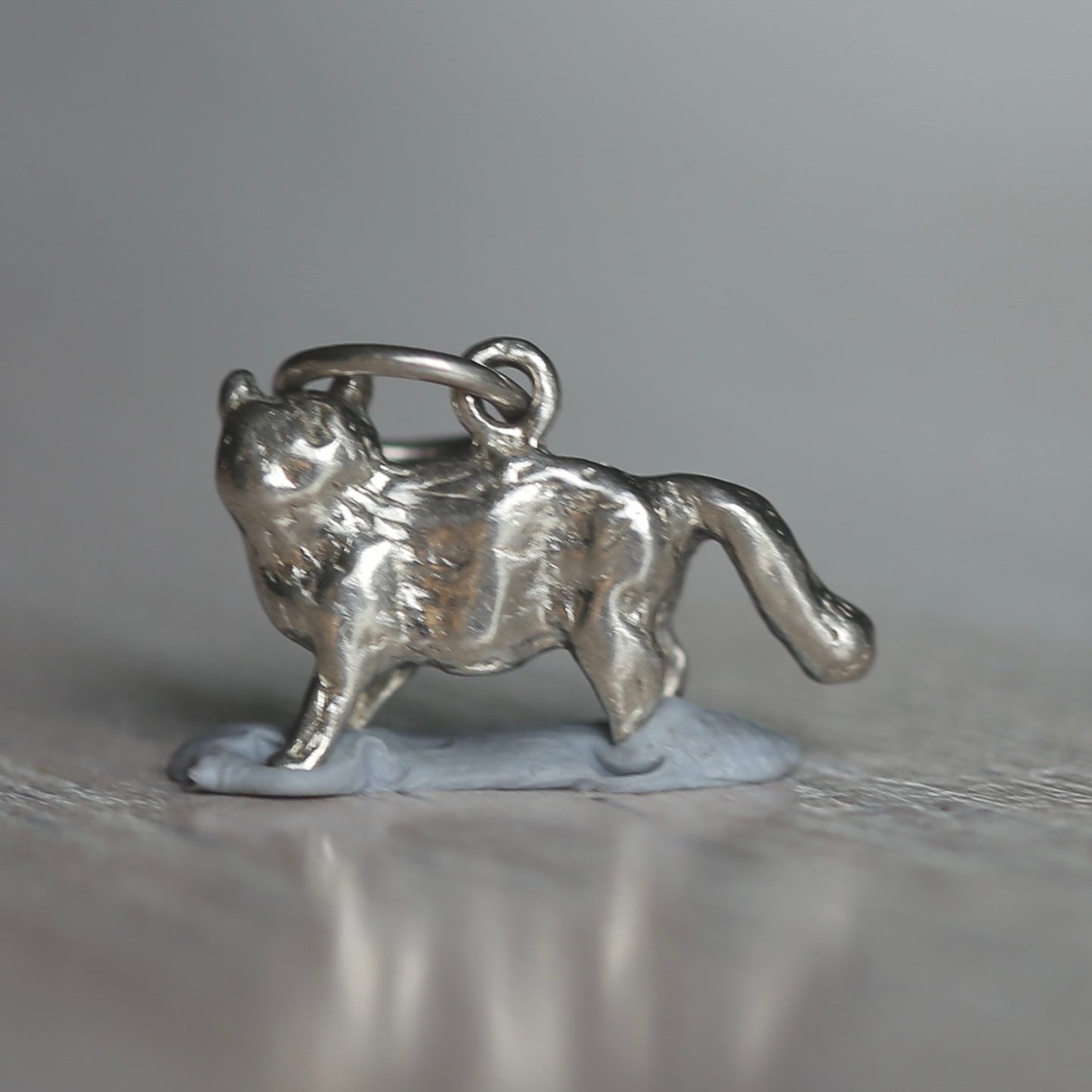 Dogs & Cats Silver Charms