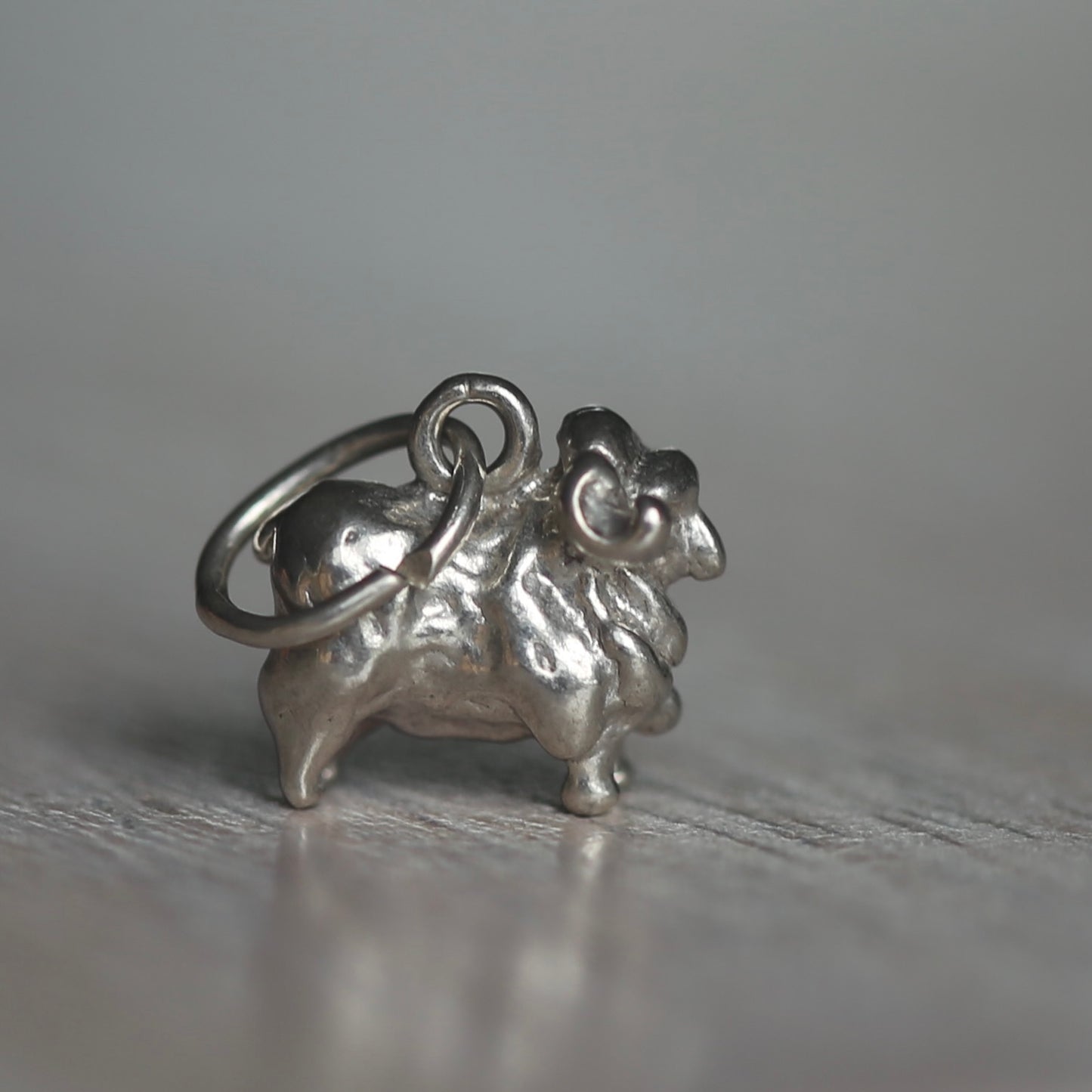 Farmyard Animals Silver Charms