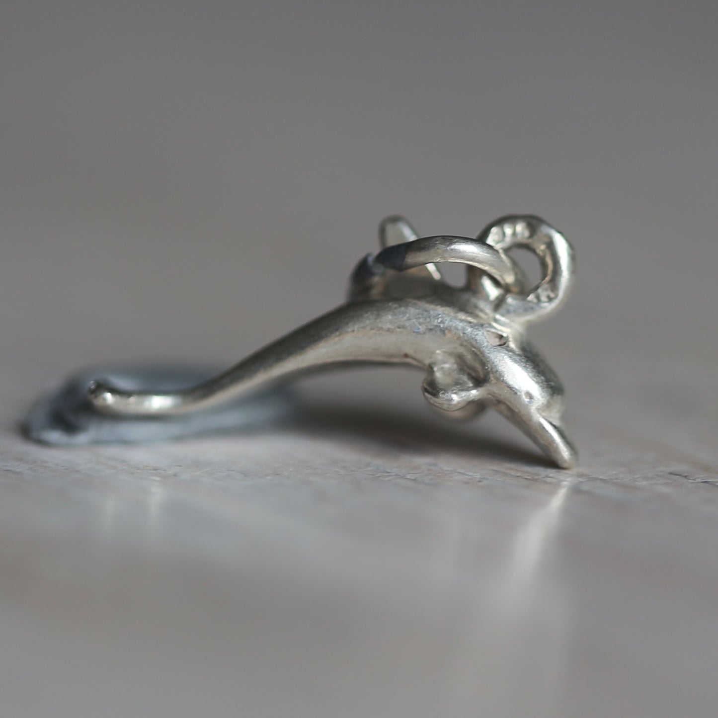 Fish and Marine Mammal Silver Charms