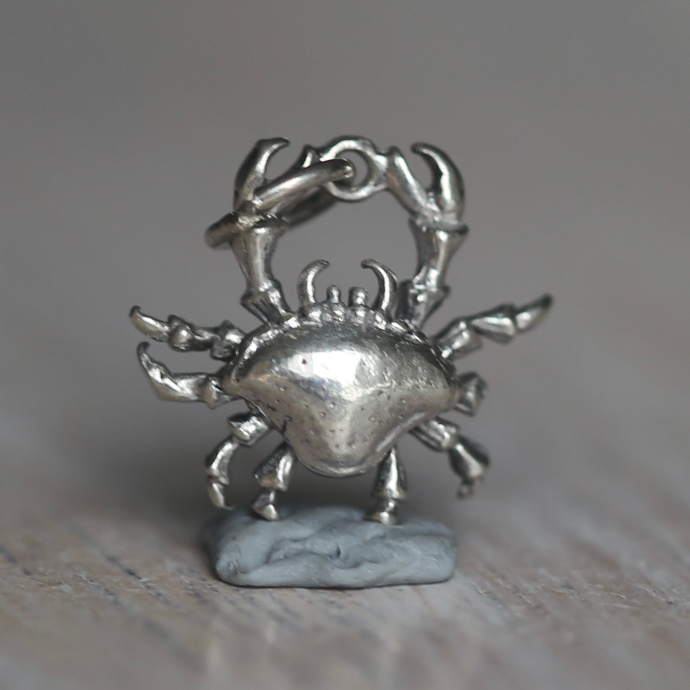 Crustacean Silver Charms