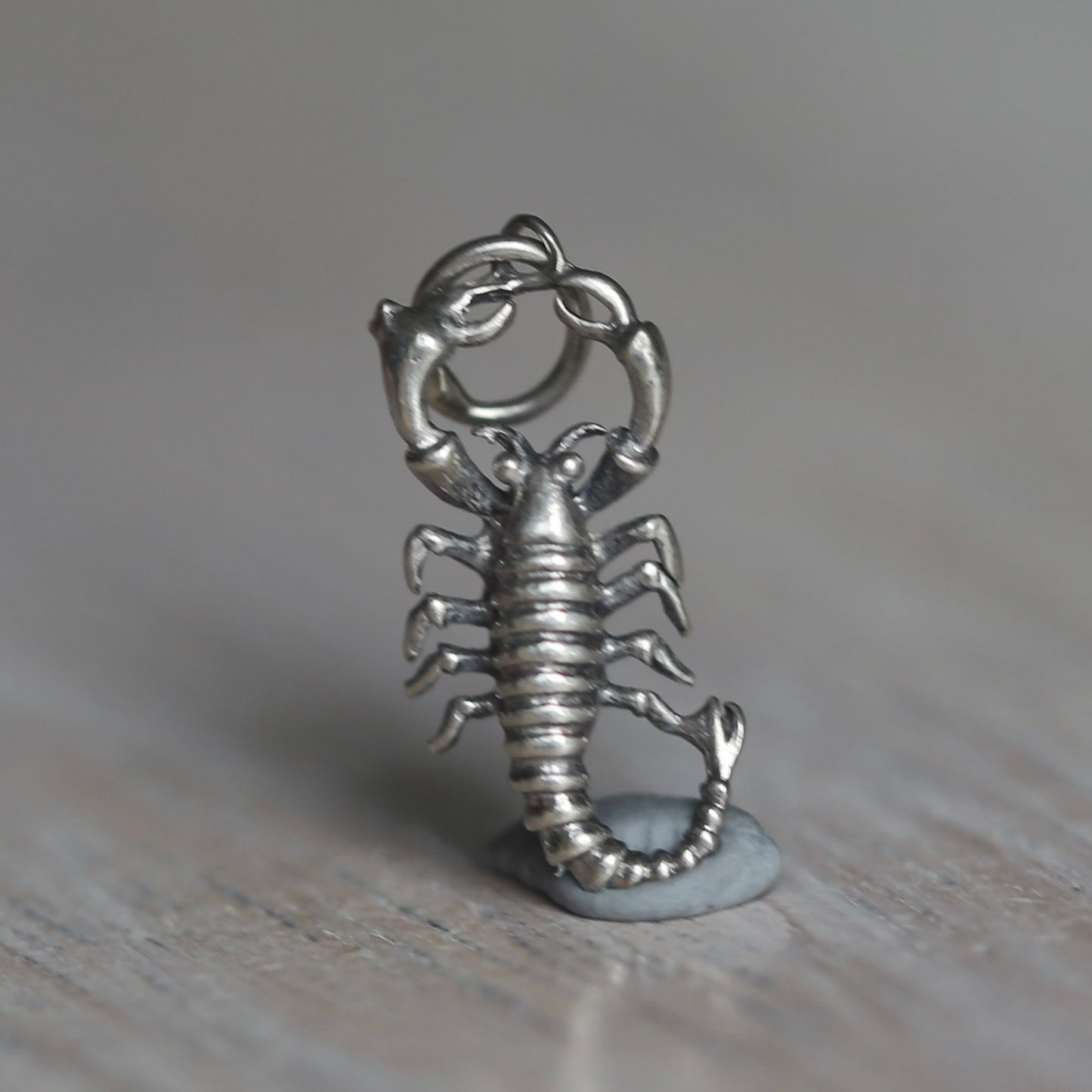 Crustacean Silver Charms