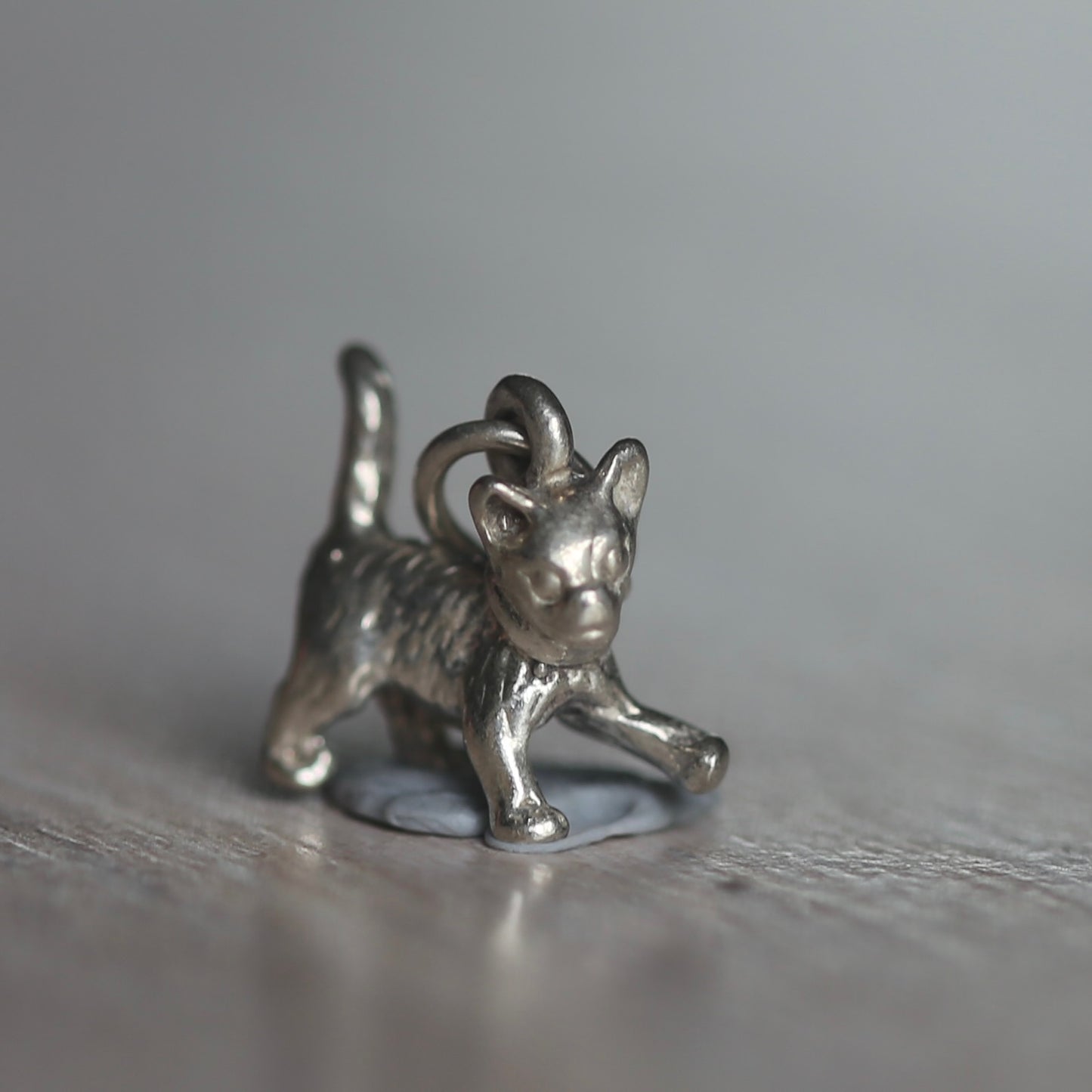 Dogs & Cats Silver Charms