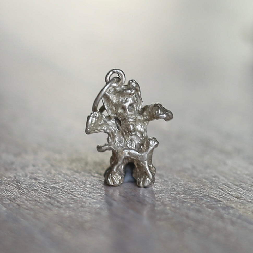 Whimsical or Mythical Creature Silver Charms