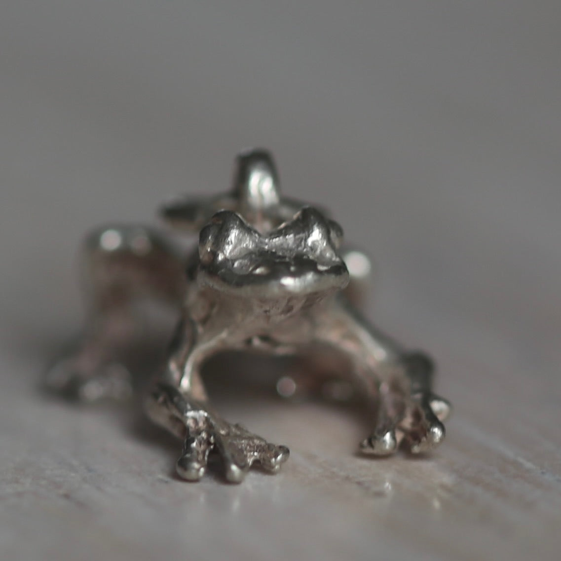 Reptile and Amphibian Silver Charms