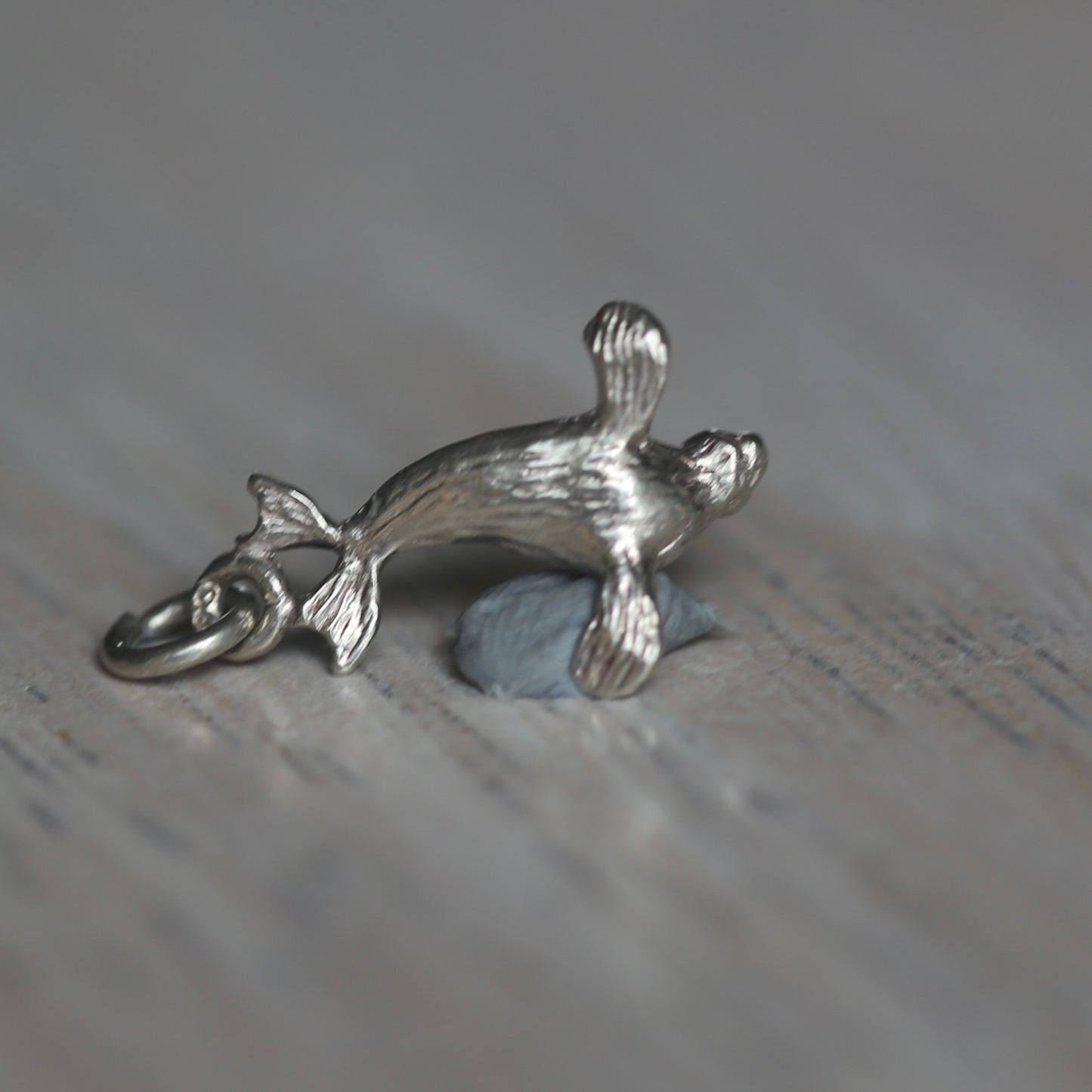 Fish and Marine Mammal Silver Charms