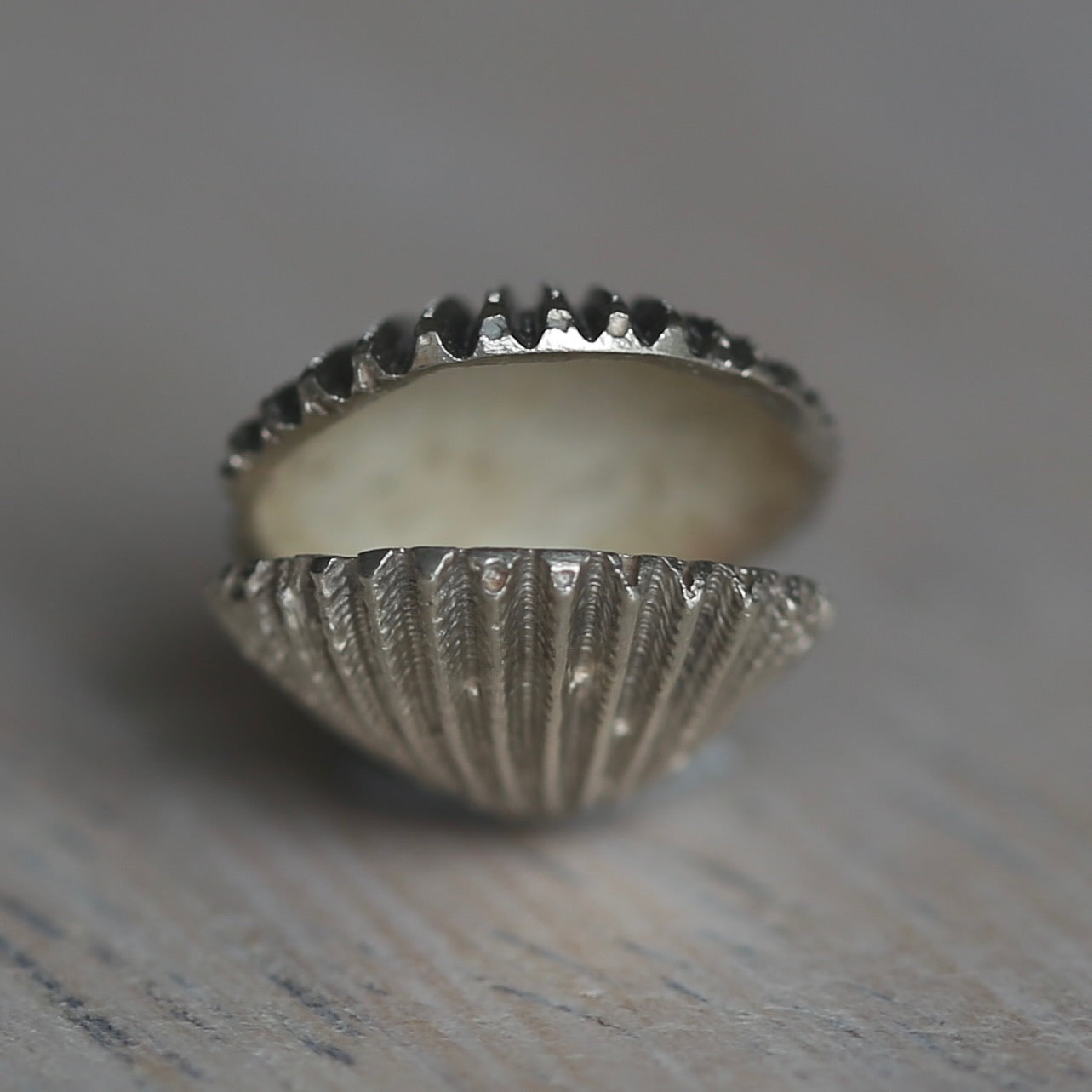 Silver Shell Charms