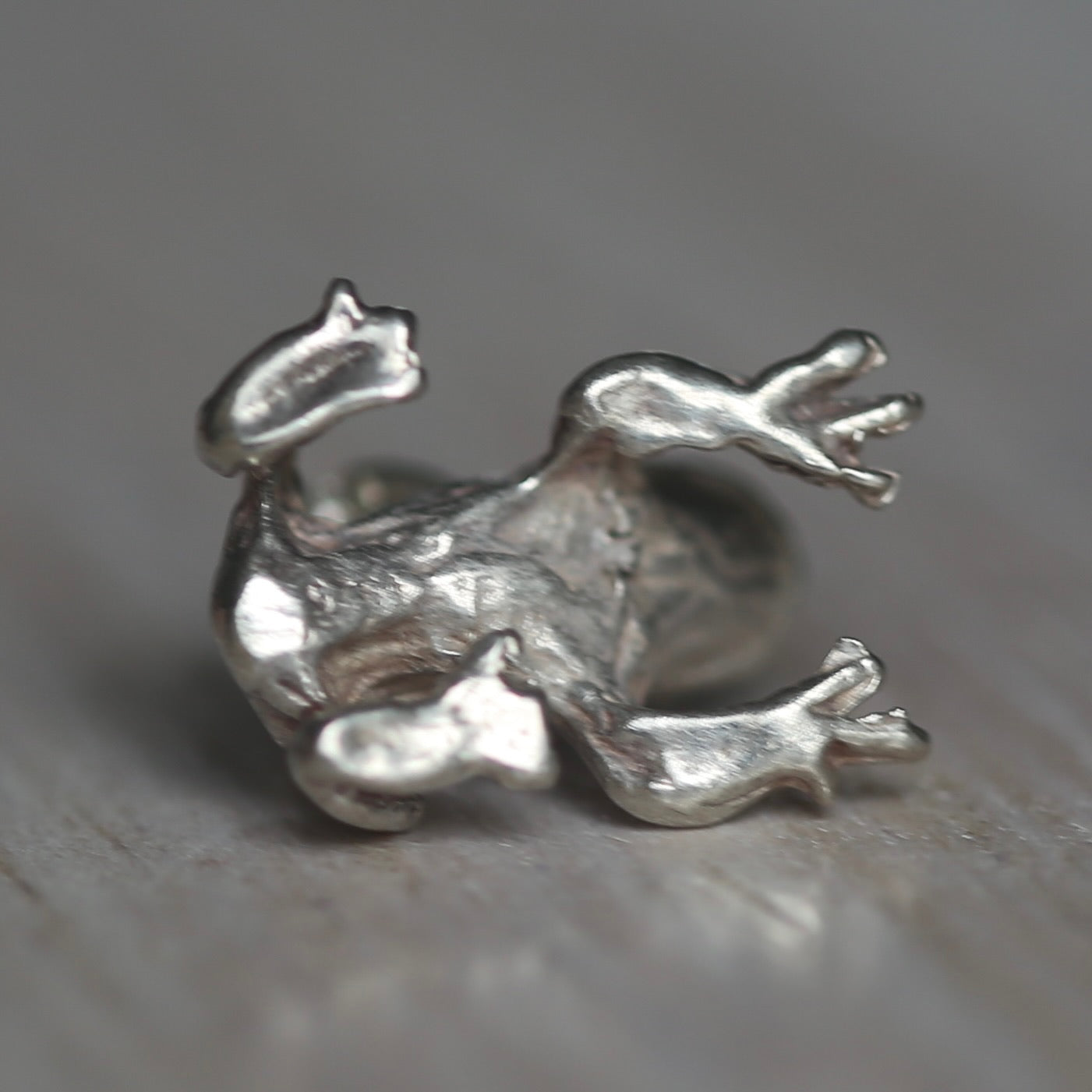 Reptile and Amphibian Silver Charms