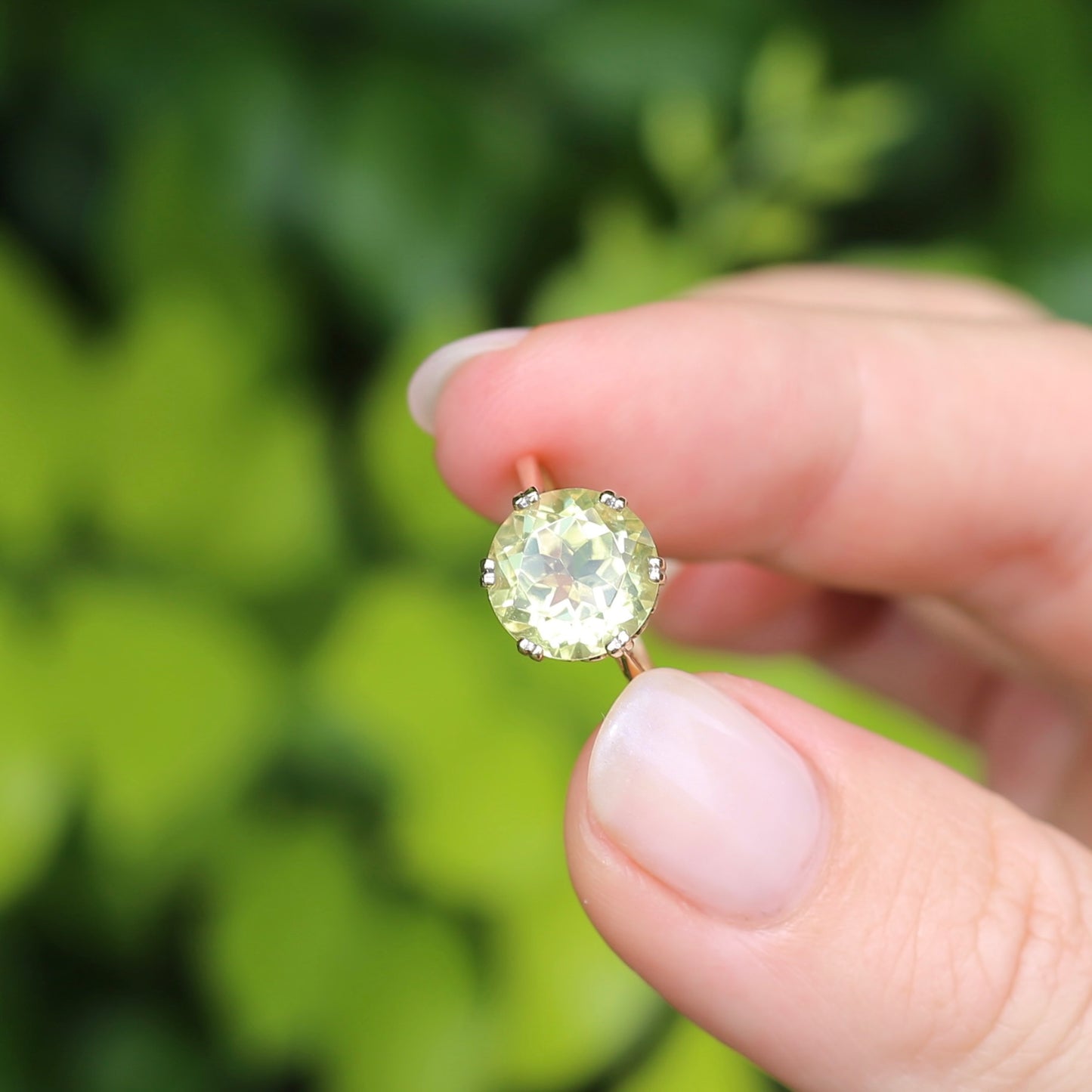 3.63ct Lemon Quartz in 6 Double Claw Basket, 9ct Yellow Gold, size L or 5.75