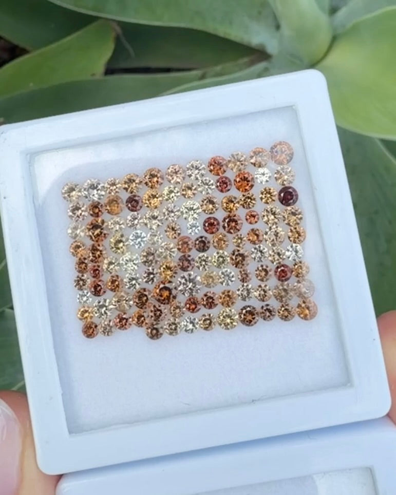 0.3ct Vibrant Burnt Orange Australian Zircon Studs, 9ct Yellow Gold, 0.48g