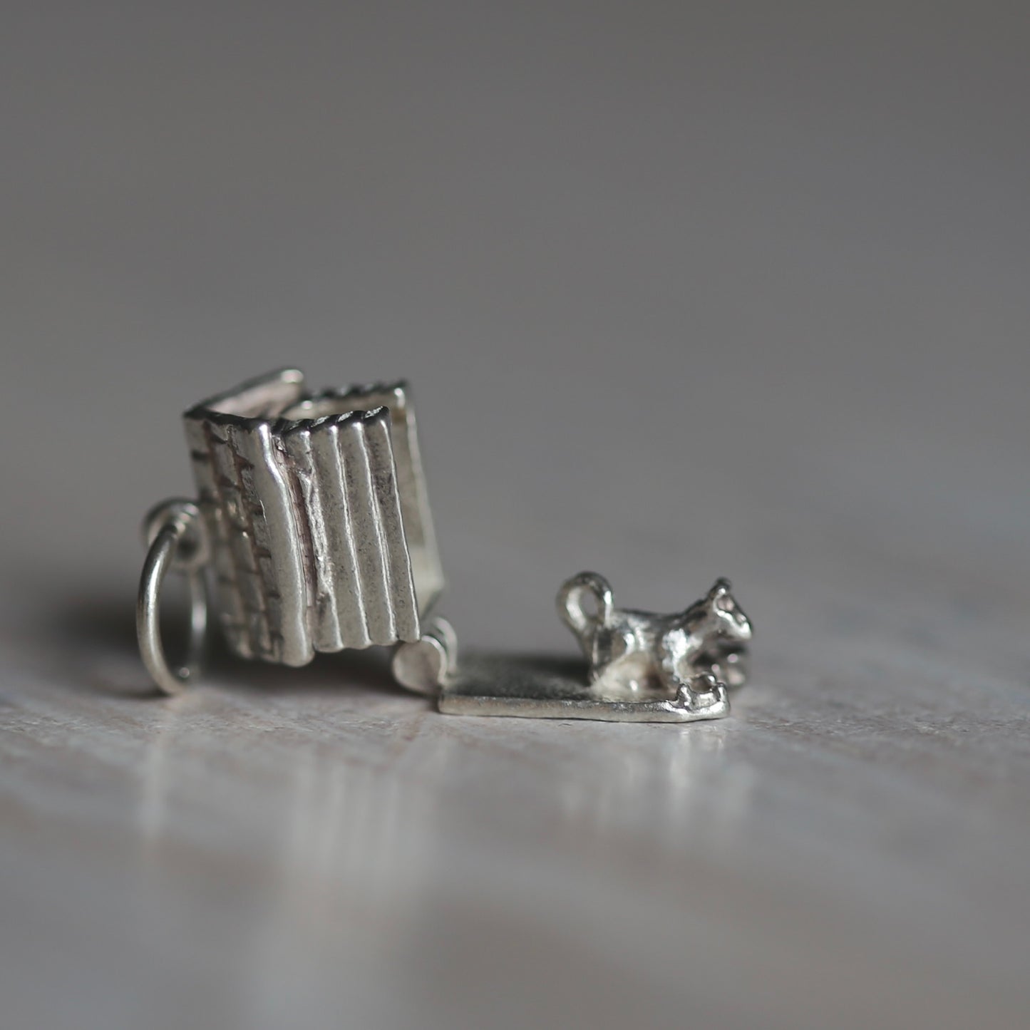 Dogs & Cats Silver Charms