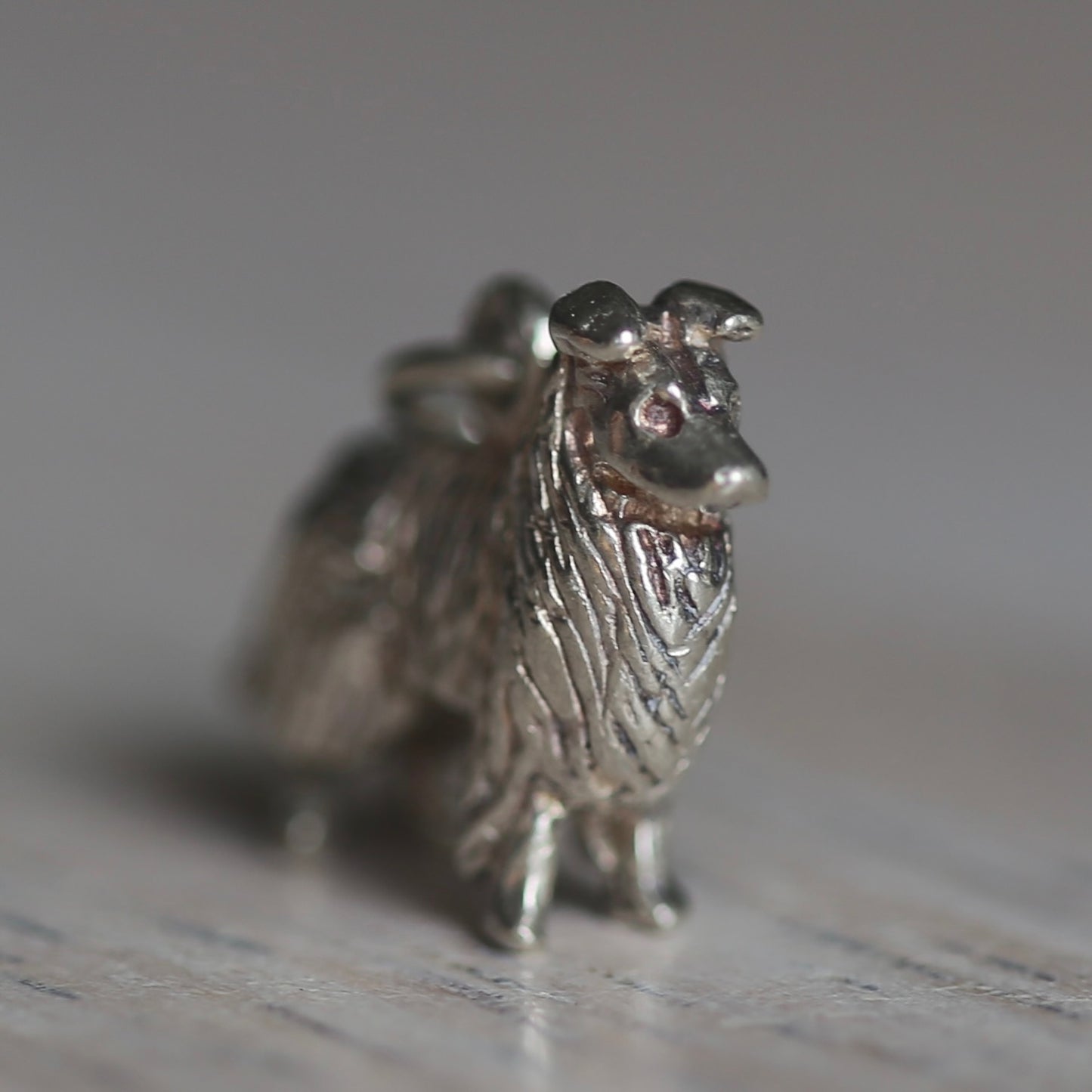 Dogs & Cats Silver Charms