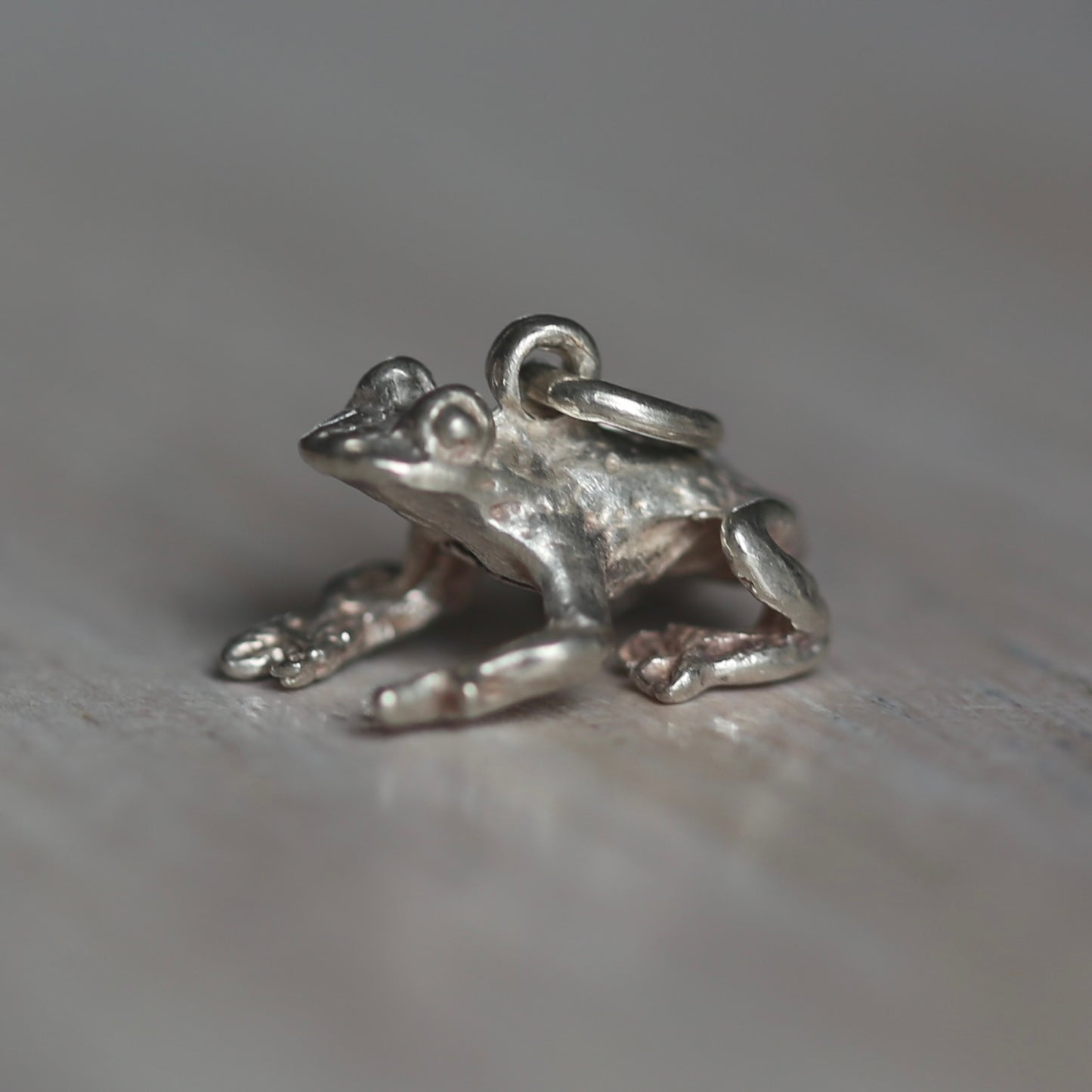 Reptile and Amphibian Silver Charms