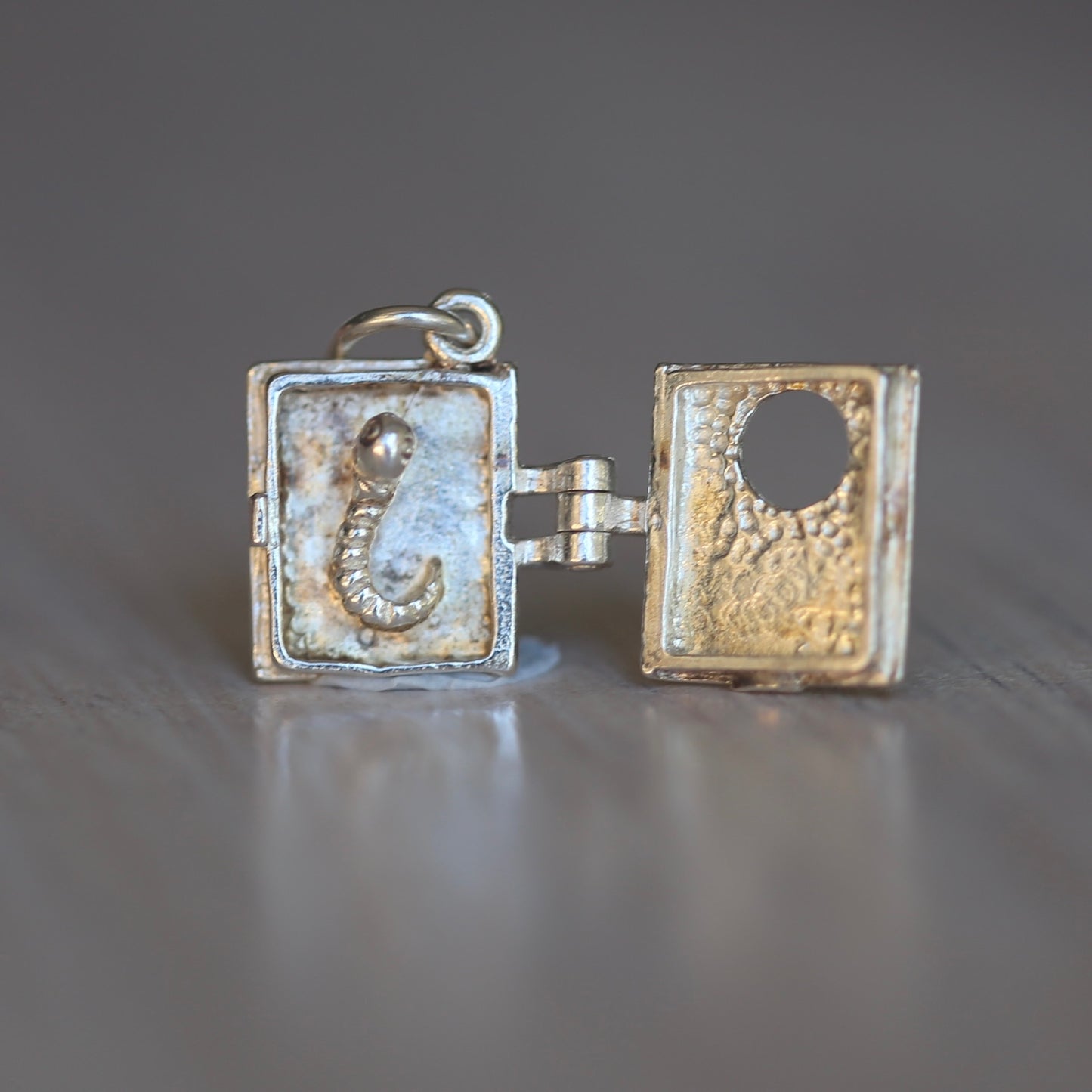 Whimsical or Mythical Creature Silver Charms