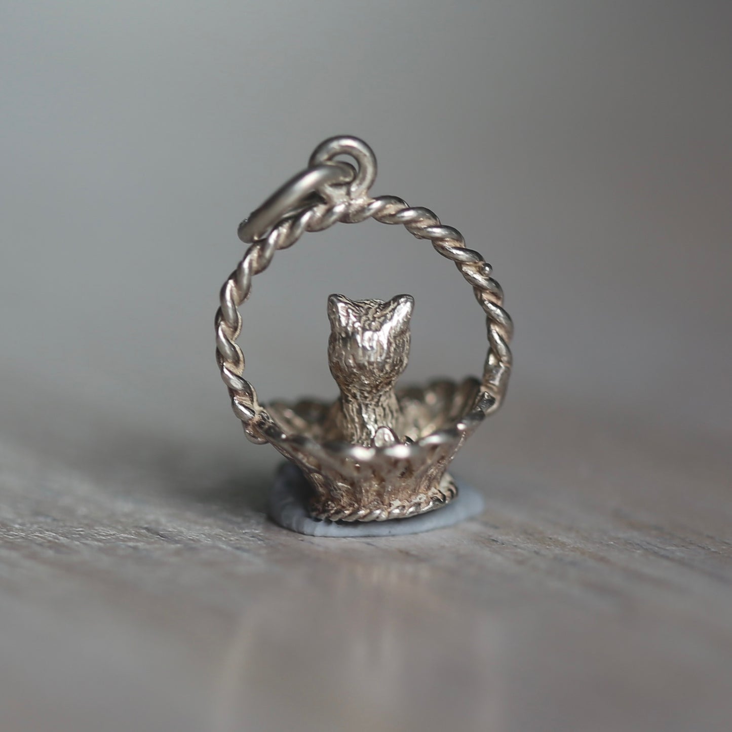 Dogs & Cats Silver Charms