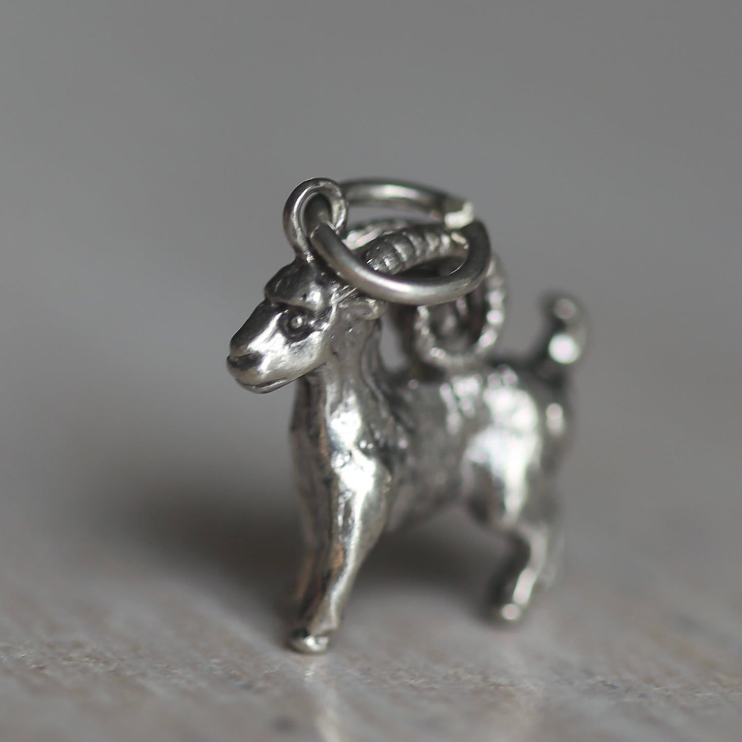 Farmyard Animals Silver Charms