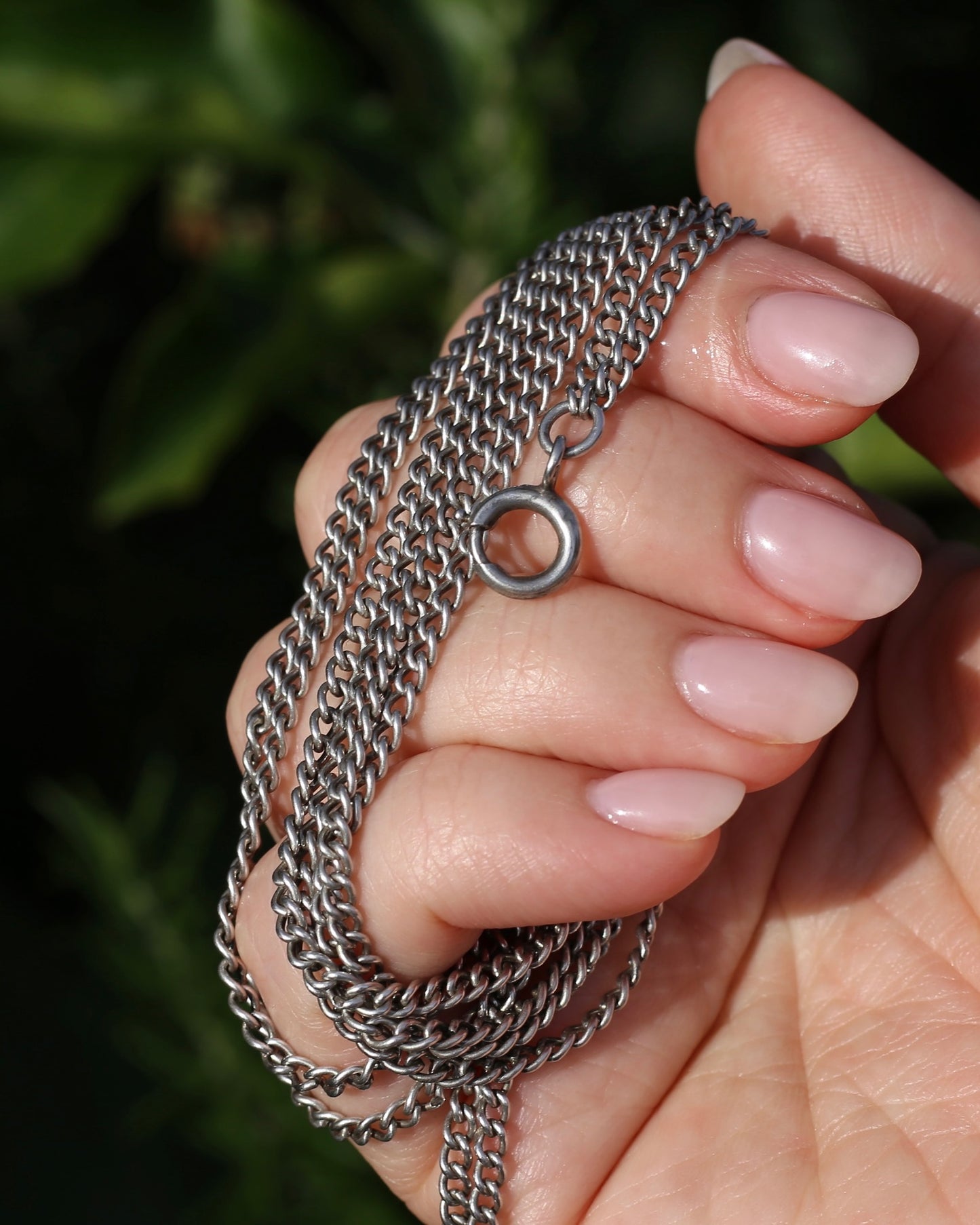 Antique French Longuard Curb Chain With Bolt Clasp, 67cm doubled, 22.1g