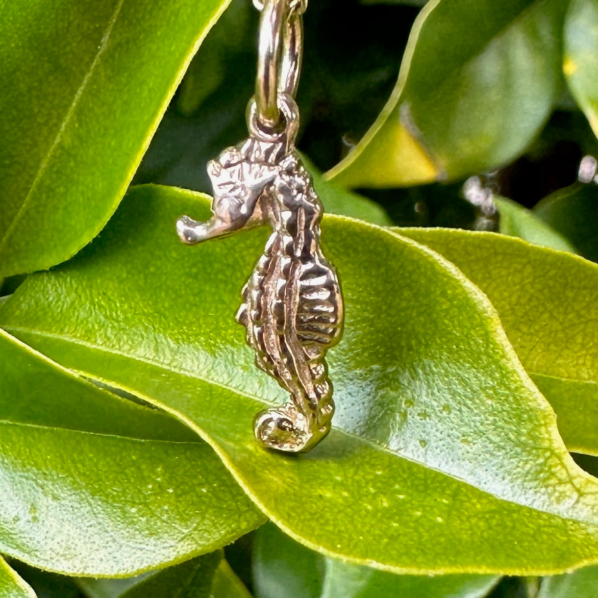 Seahorse Charm 9ct Yellow Gold 1.11g Vintage Jewellery Hoarders