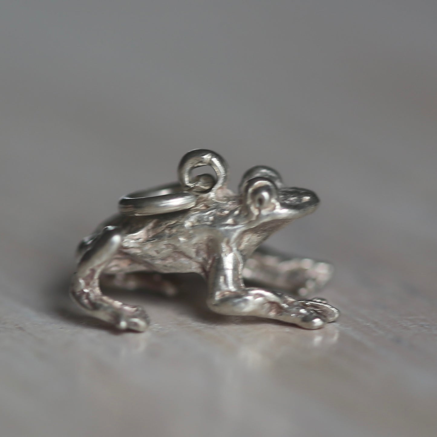 Reptile and Amphibian Silver Charms