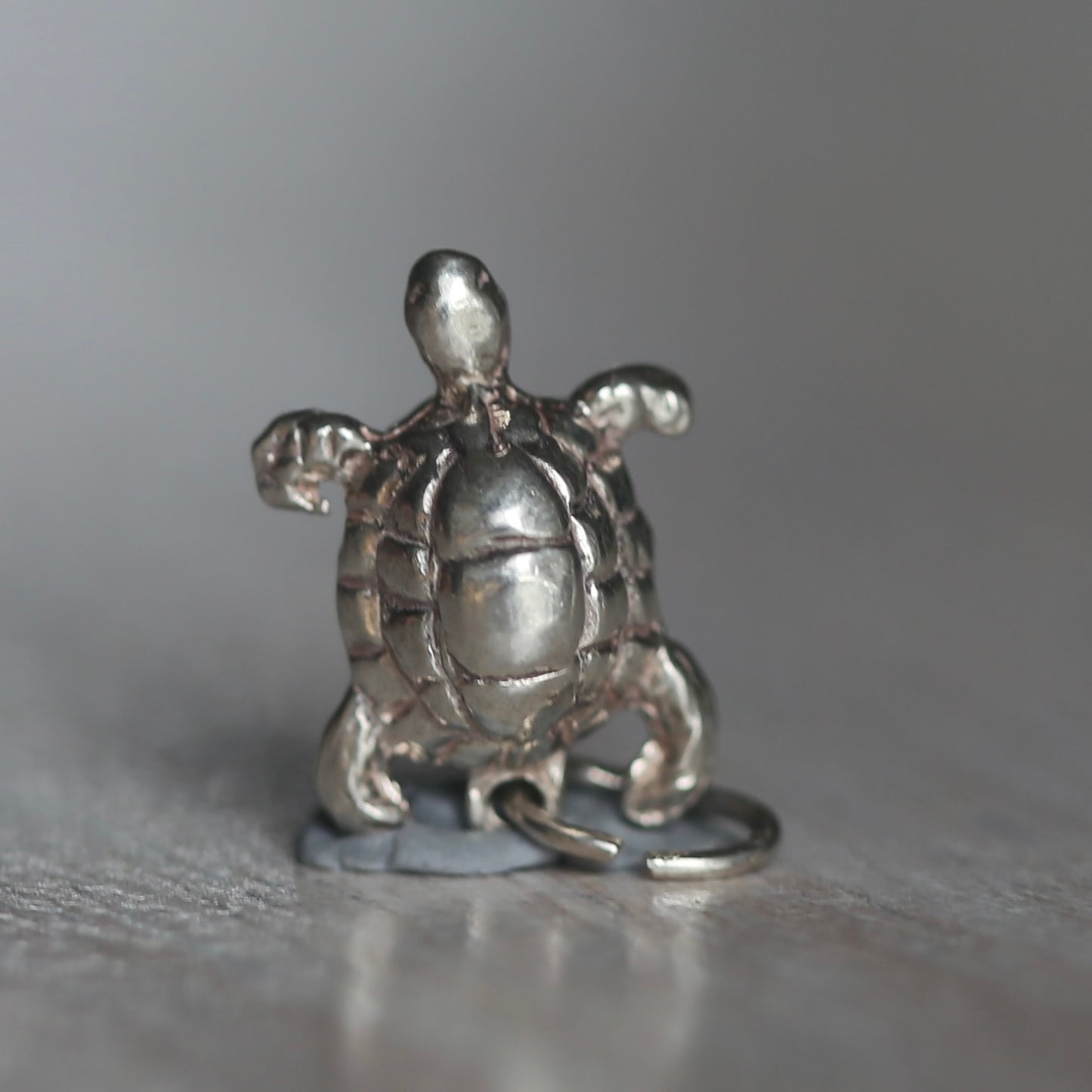 Reptile and Amphibian Silver Charms