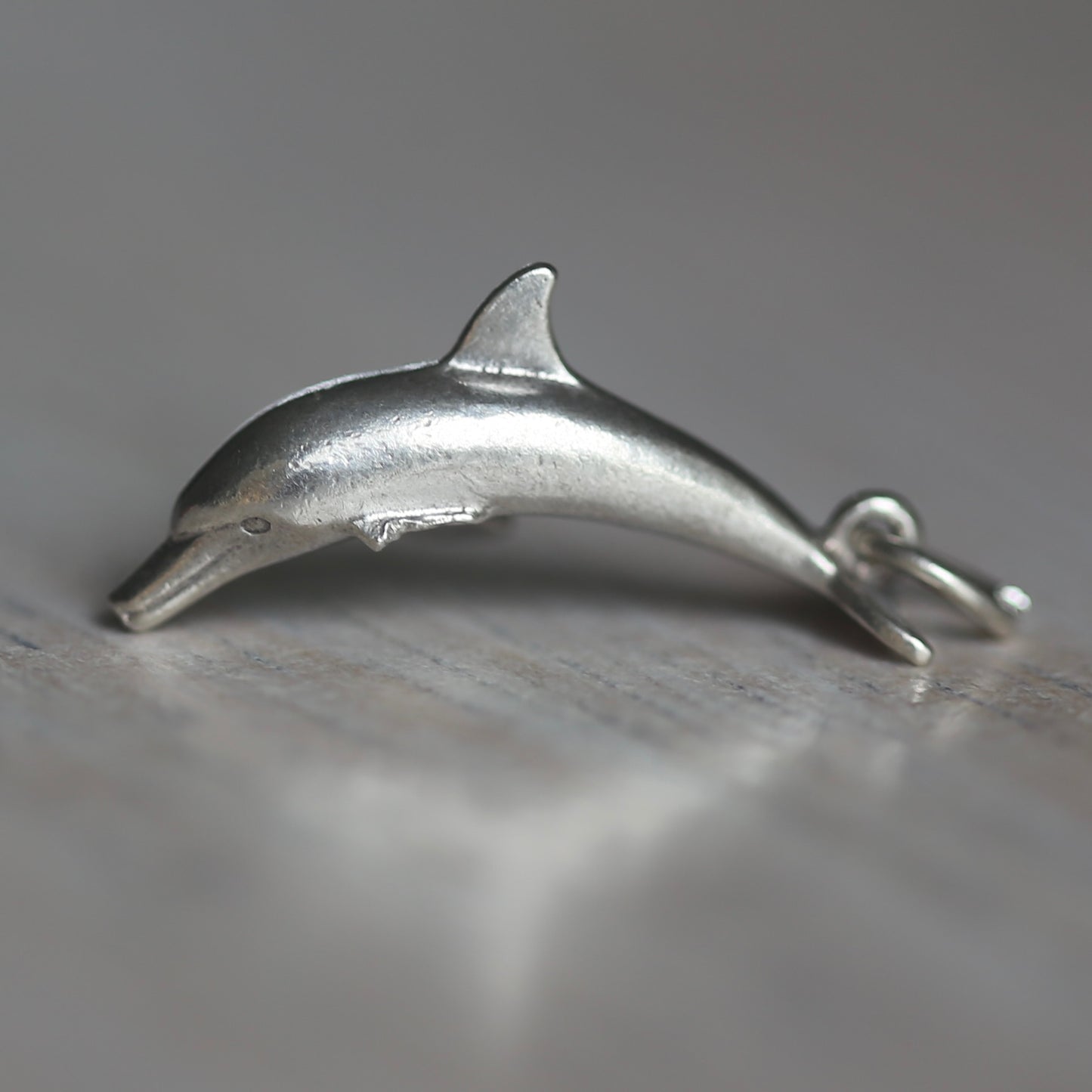 Fish and Marine Mammal Silver Charms