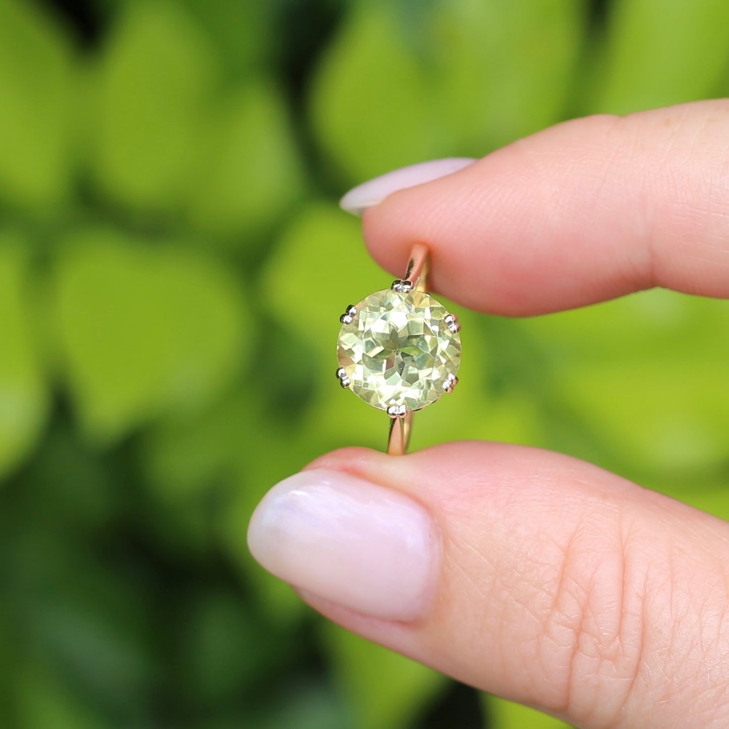 3.63ct Lemon Quartz in 6 Double Claw Basket, 9ct Yellow Gold, size L or 5.75