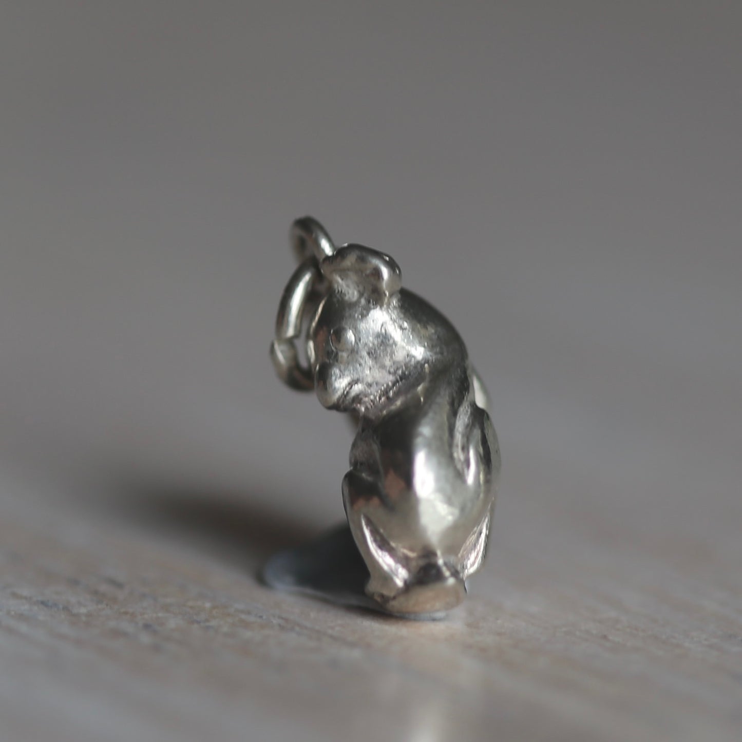 Australian Animal Silver Charms