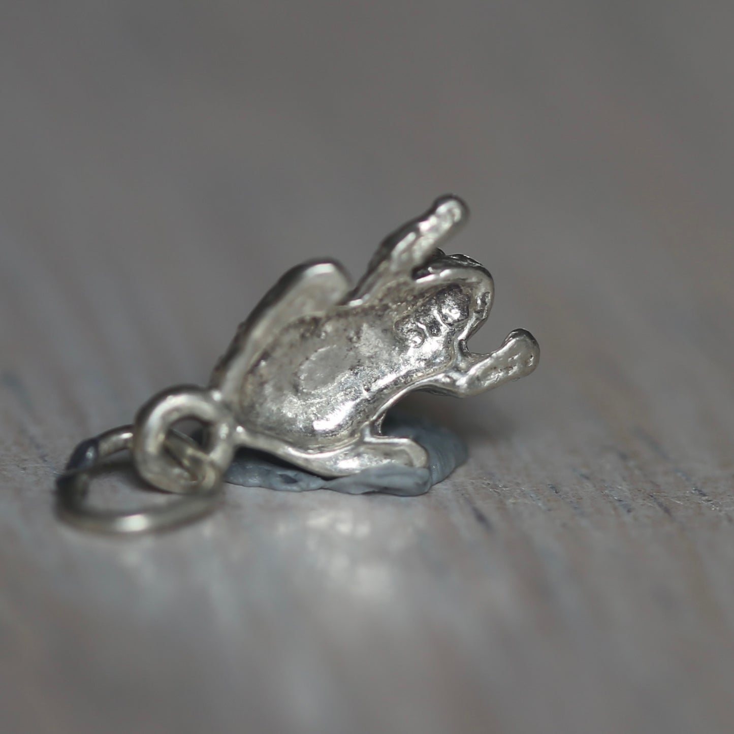 Reptile and Amphibian Silver Charms