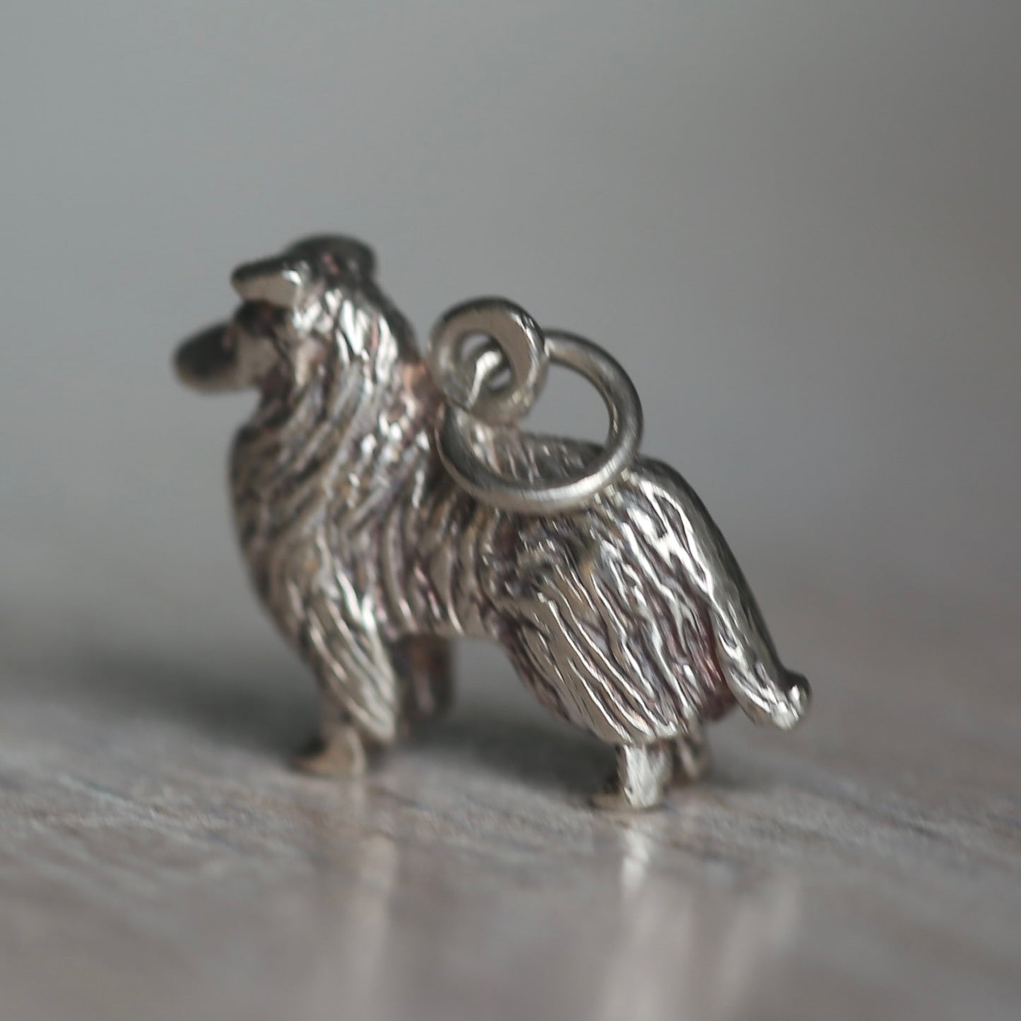 Dogs & Cats Silver Charms