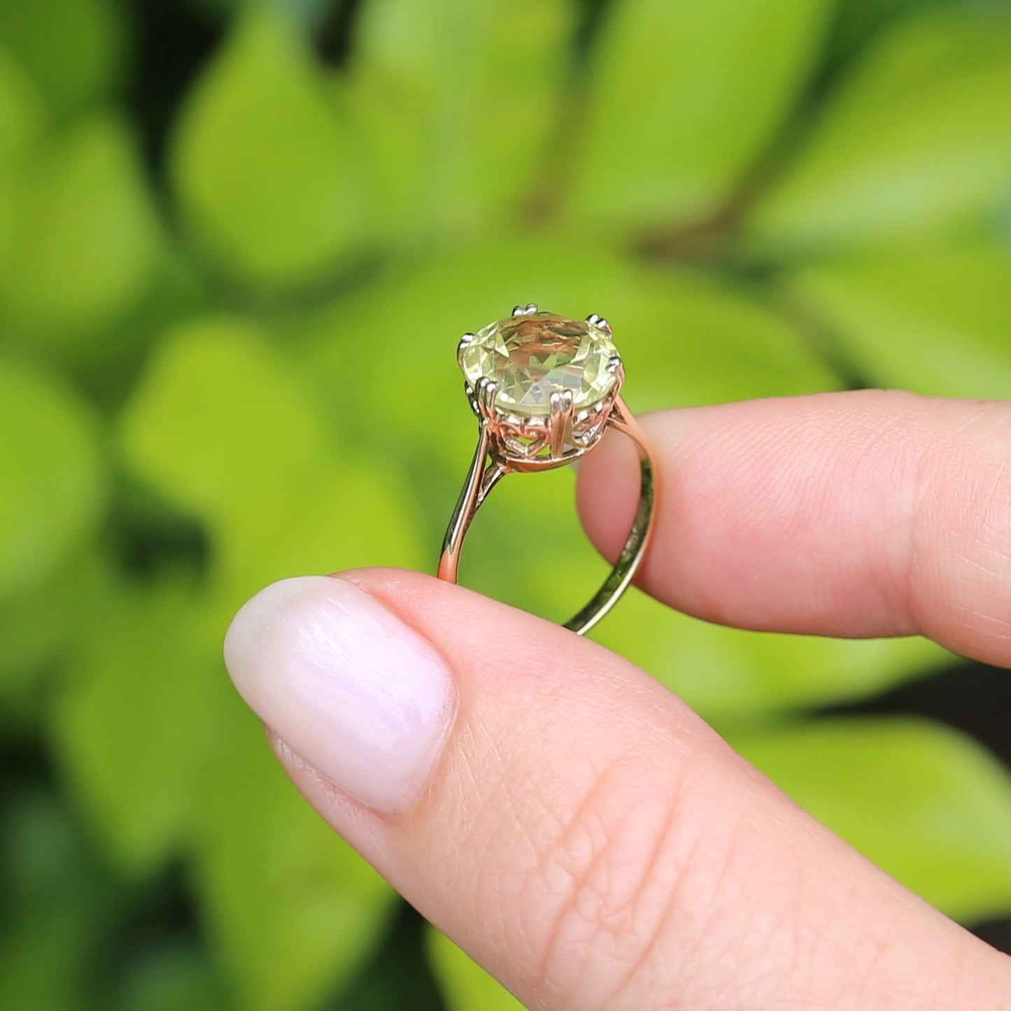 3.63ct Lemon Quartz in 6 Double Claw Basket, 9ct Yellow Gold, size L or 5.75