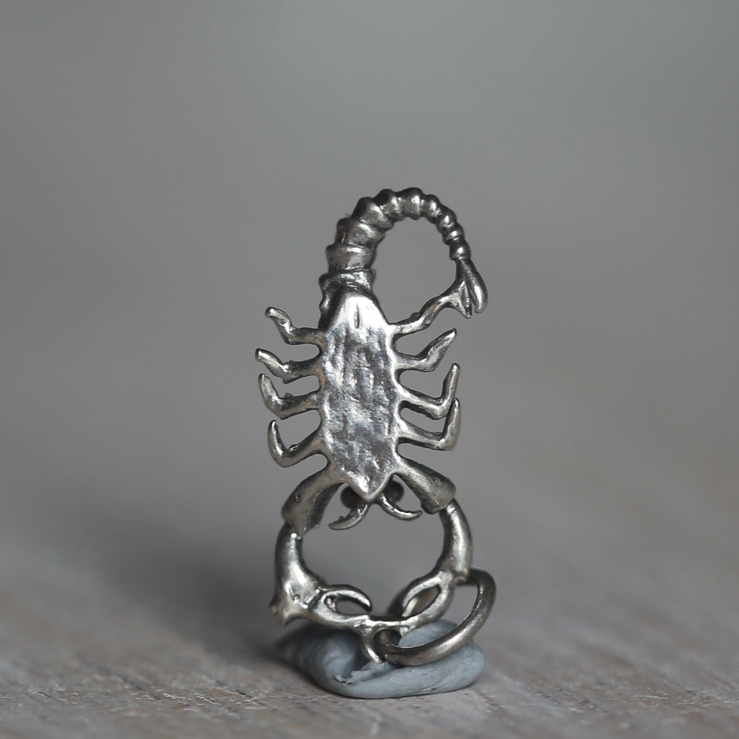 Crustacean Silver Charms