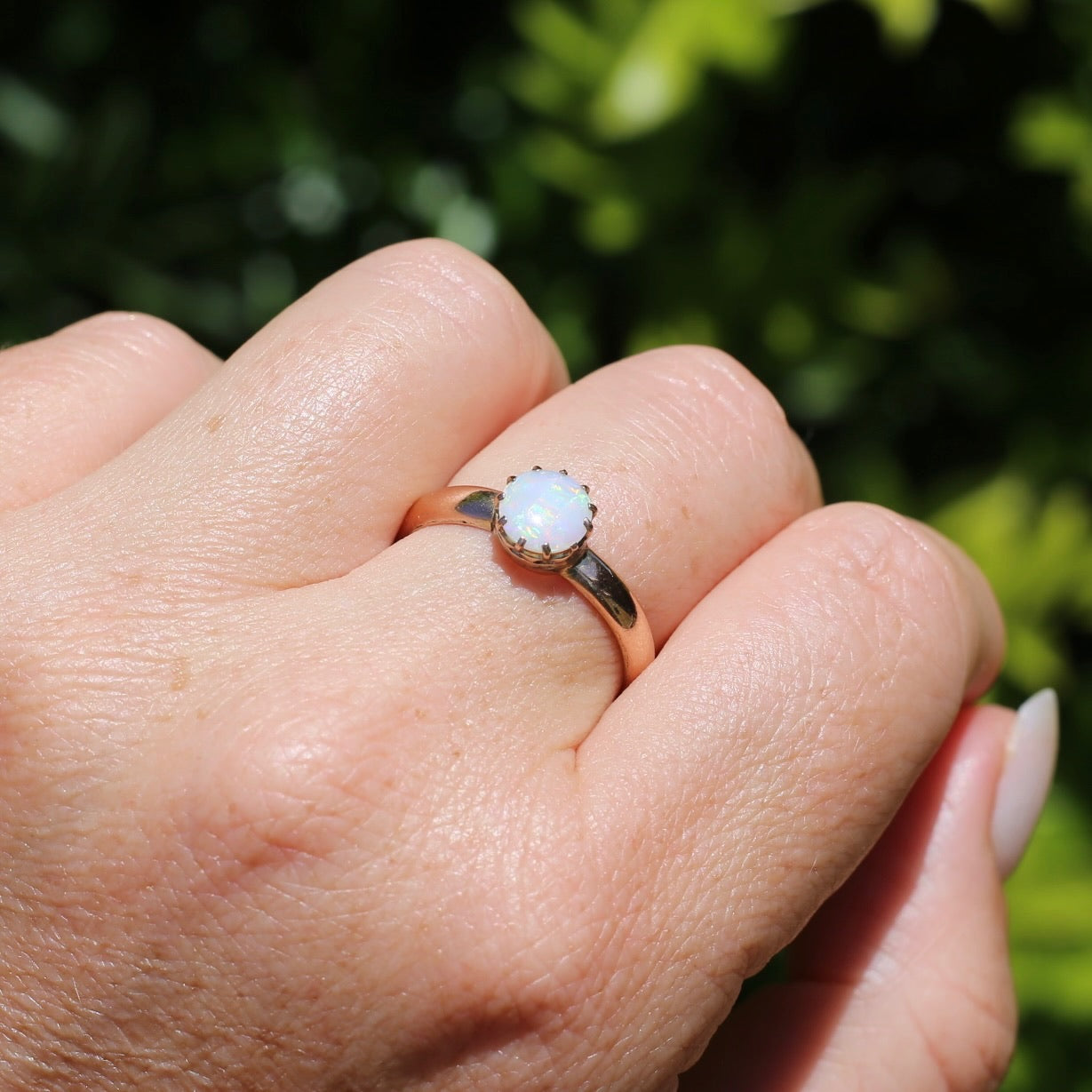 Early Australian 11 Multi Claw White Round Opal Ring, 9ct Old Rosey Gold, size 10 or U