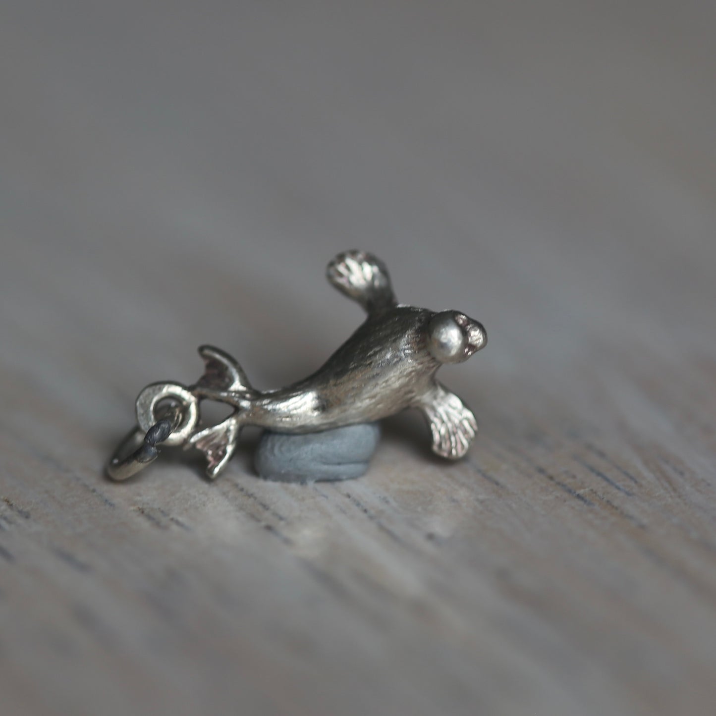 Fish and Marine Mammal Silver Charms