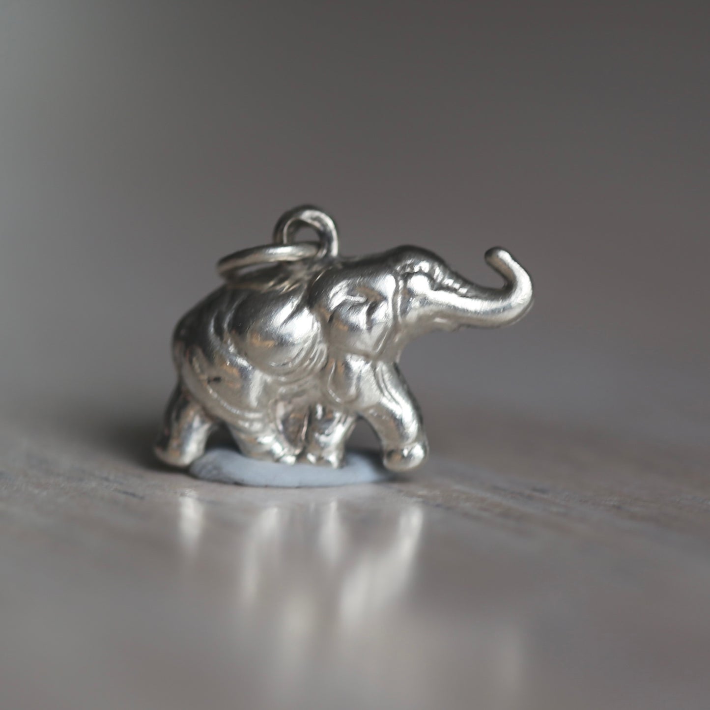 Lucky Elephant Silver Charms